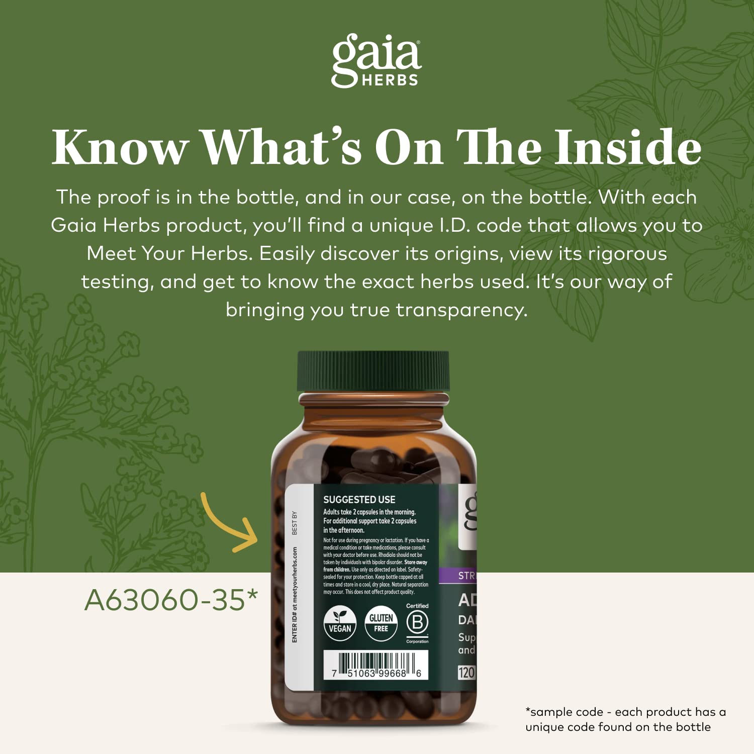 Gaia Herbs Olive Leaf - Traditional Immune Health Support - Immune System Supplement with Olive Leaf Extract and Oleuropein - 120 Vegan Liquid Phyto-Caps