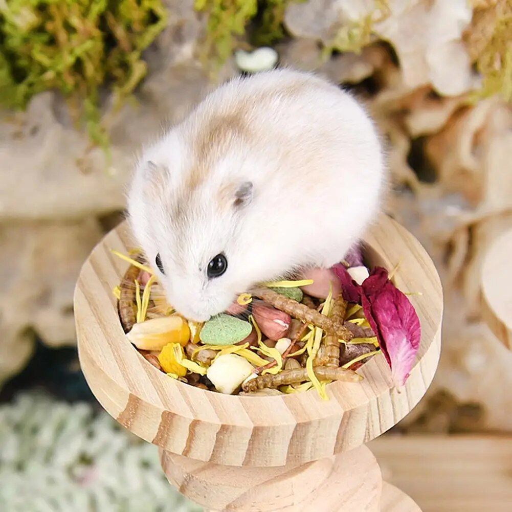 Charming Wooden Pet Food Bowl for Small Animals