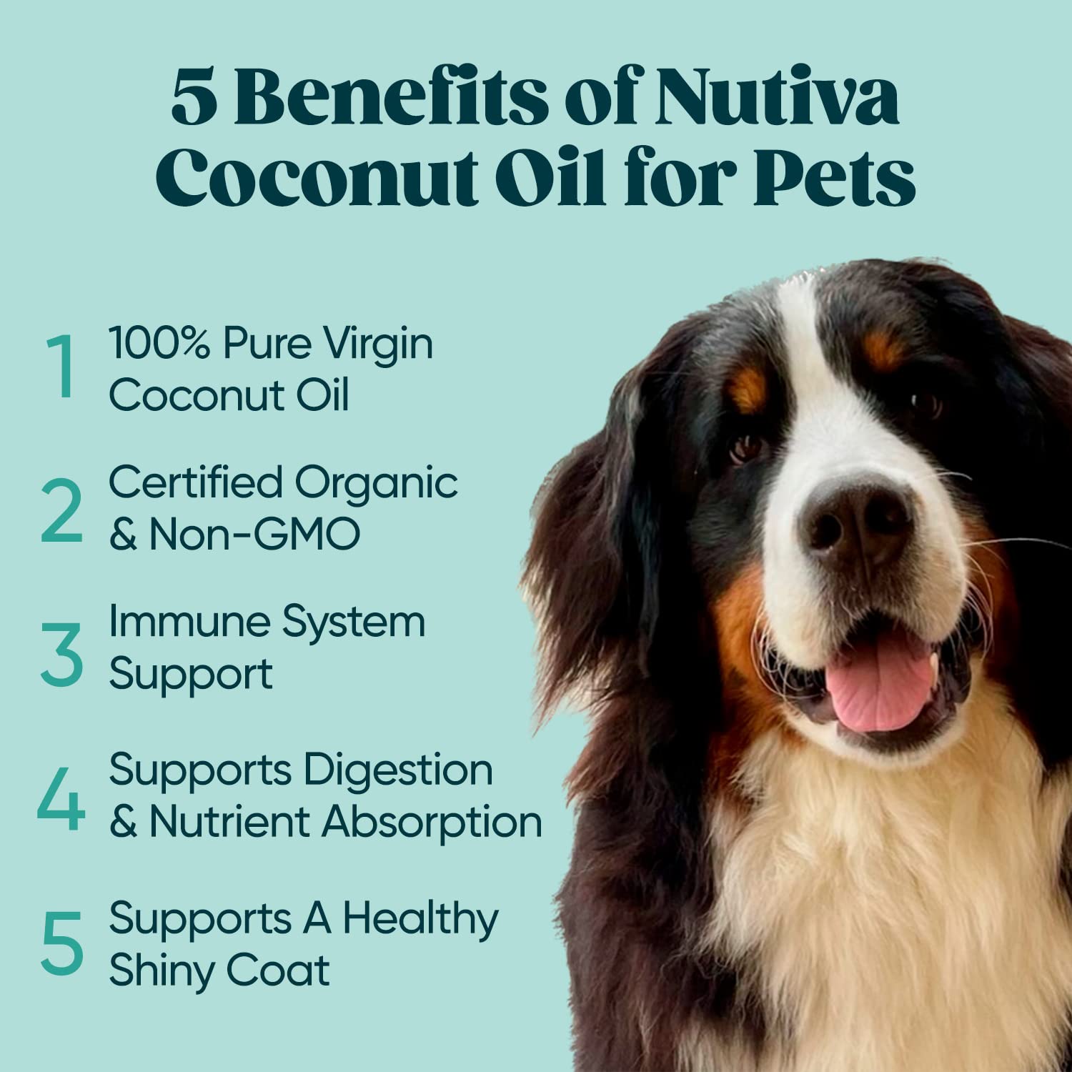 Nutiva Organic Coconut Oil 15 fl oz, Cold-Pressed, Fresh Flavor for Cooking Oil, Natural Hair Oil, Skin Oil, Massage Oil and, Non-GMO, USDA Organic, Unrefined Extra Virgin Coconut Oil (Aceite de Coco)