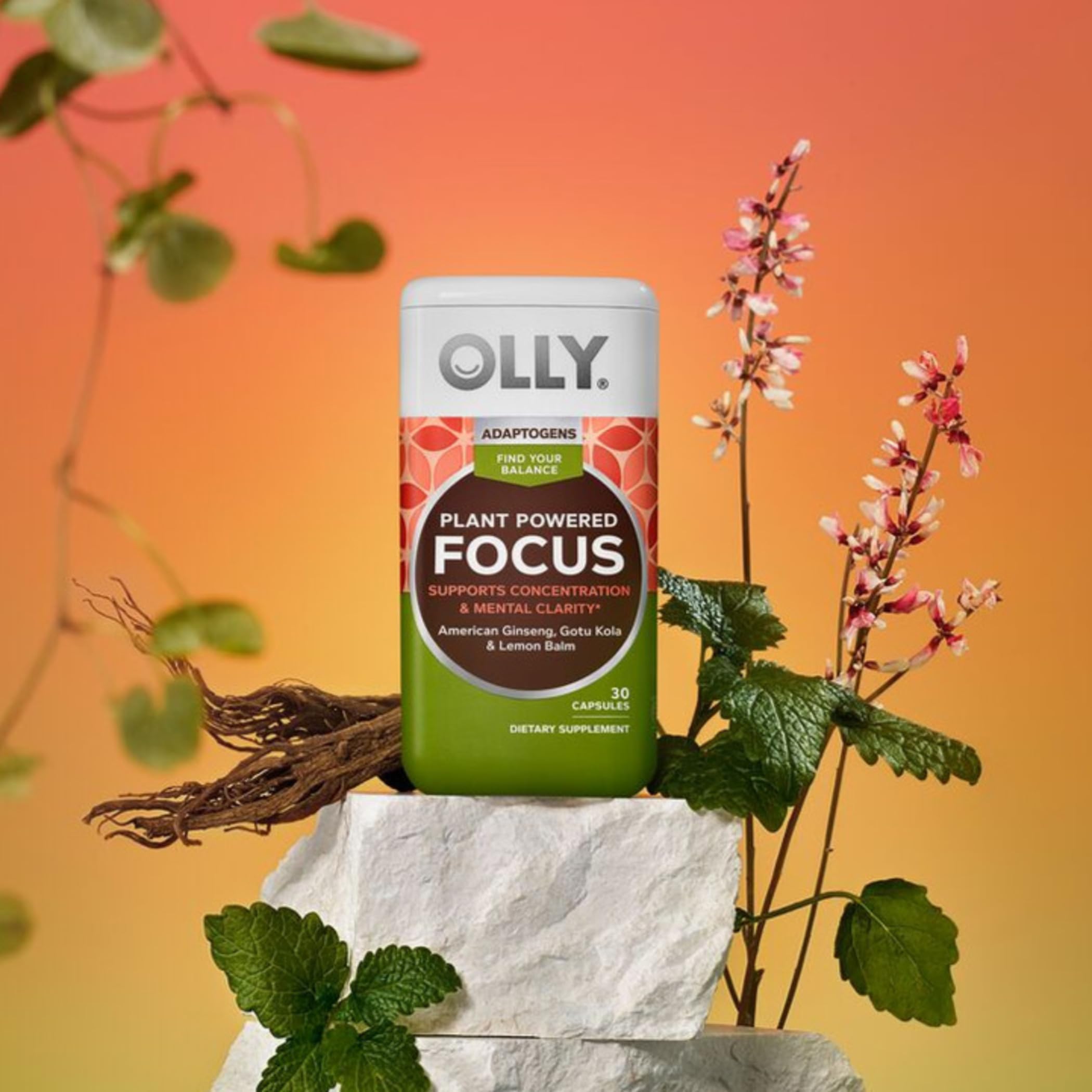 OLLY Focus Adaptogen, Ginseng, Gotu Kola, Mood Support Supplement, Vegetarian Capsules - 30ct