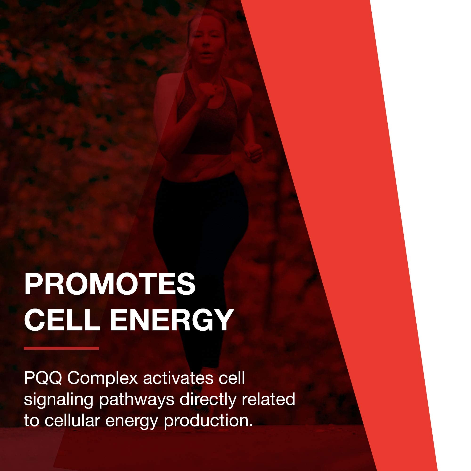 Protocol PQQ Complex - CoQ10, Acetyl-L-Carnitine, Vitamin B12 - Energy - 30 Veg Caps