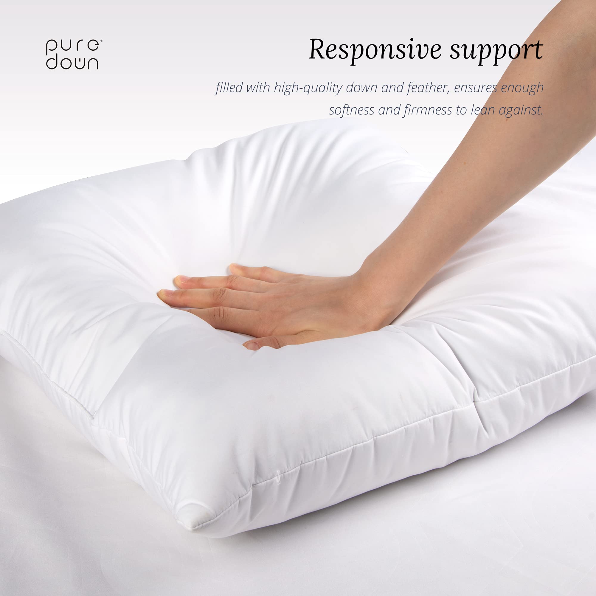 puredown PI-15002 Pillow, 2 Count (Pack of 1), Classic White