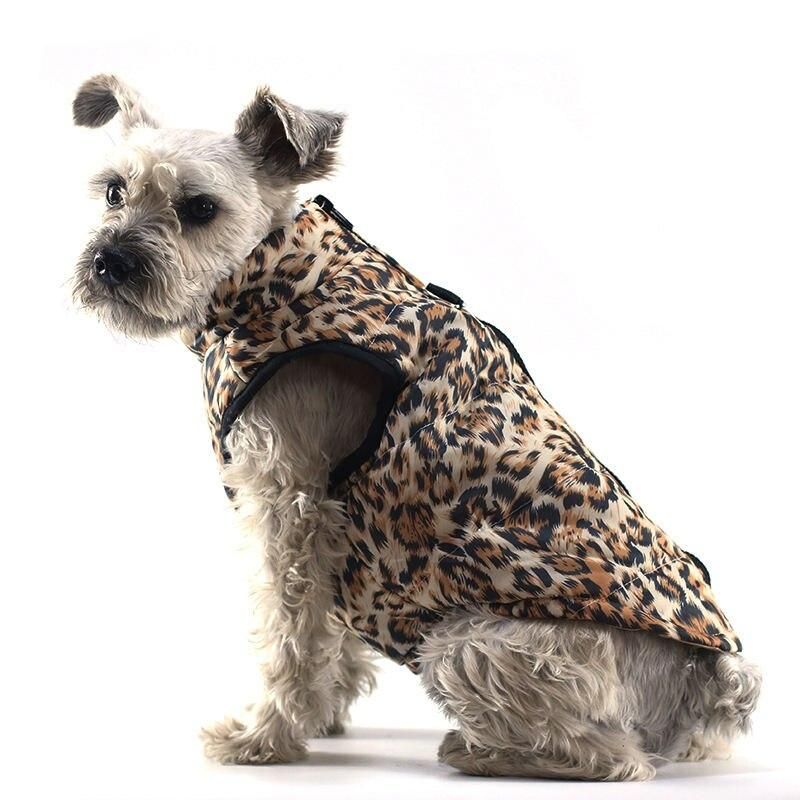 Premium Dog Jacket