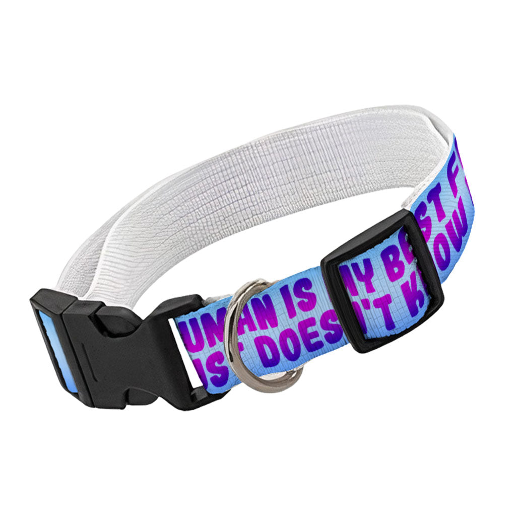 Cute Design Pet Collar - Creative Dog Collar - Quote Dog Collar