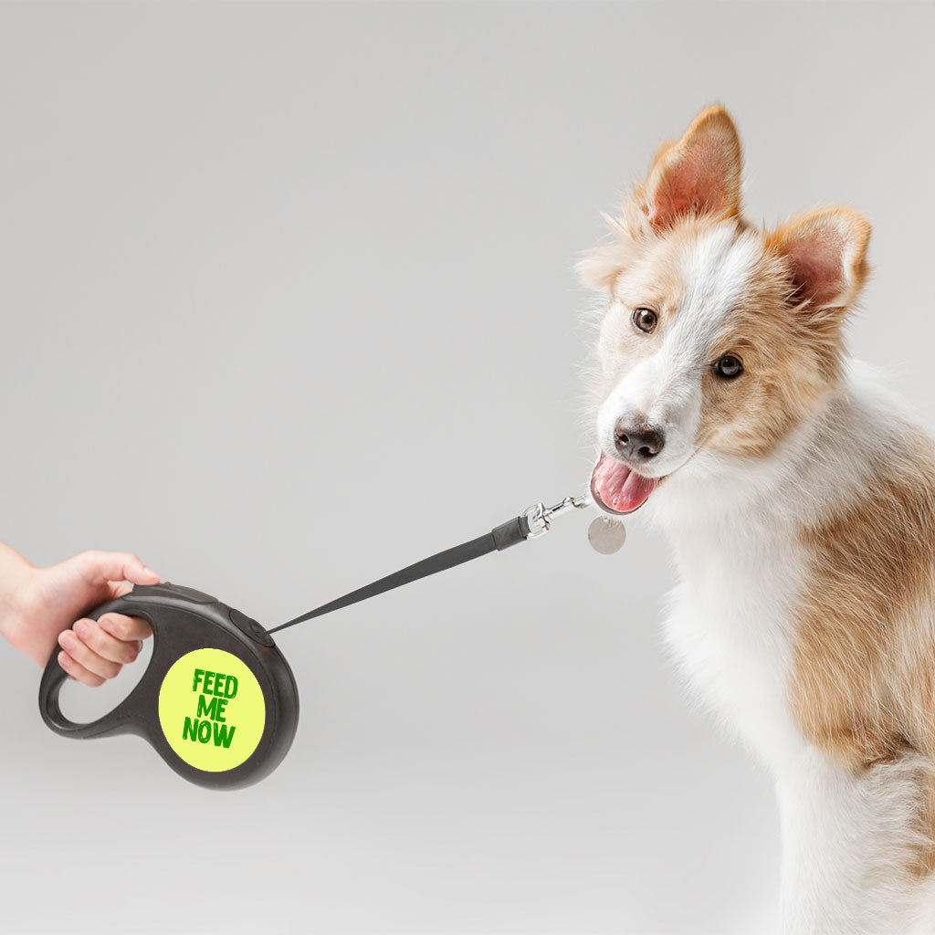 Feed Me Retractable Pet Leash - Cool Leash - Best Design Dog Leash