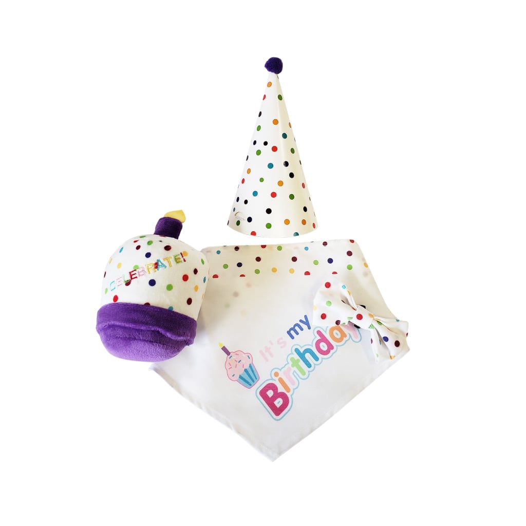 4-Piece Dog Birthday Kit