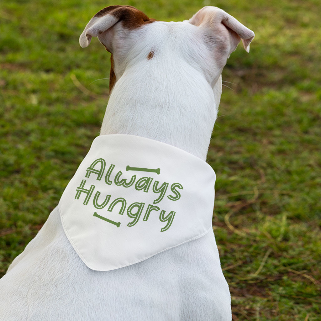 Always Hungry Pet Bandana Collar - Funny Scarf Collar - Best Design Dog Bandana