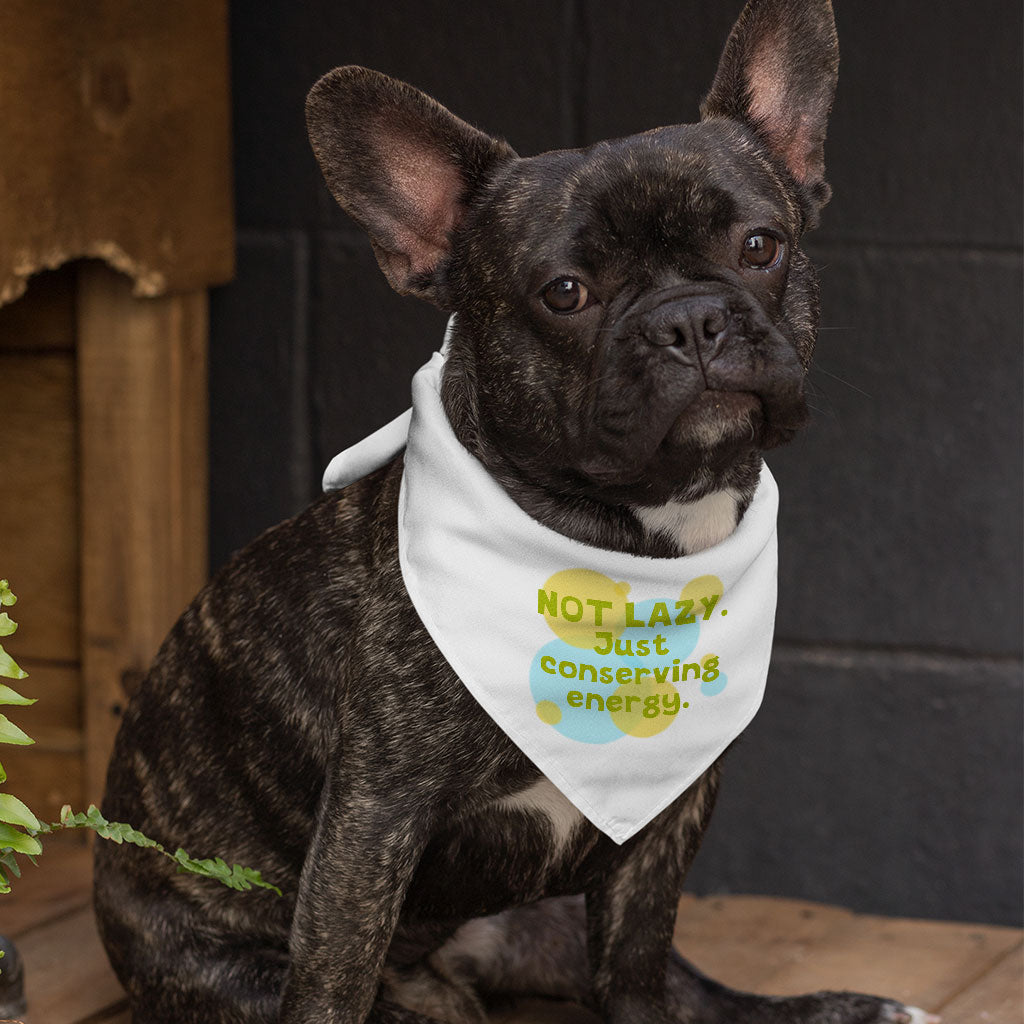 I Am Not Lazy Pet Bandana - Quote Dog Bandana - Themed Pet Scarf