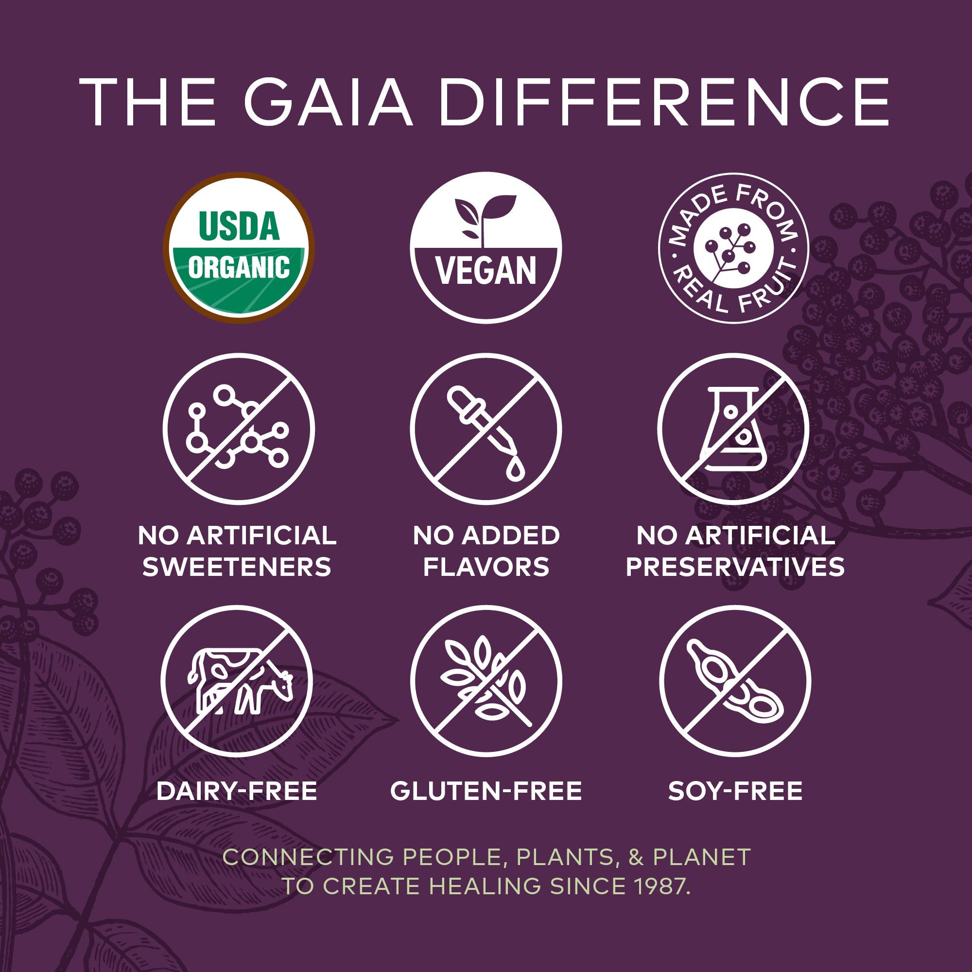 Gaia Herbs Black Elderberry Adult Daily Gummies - Immune Support Gummies with Black Elderberries - Elderberry Supplement to Aid Immune Health - Real Fruit Supplement - 80 Vegan Gummies