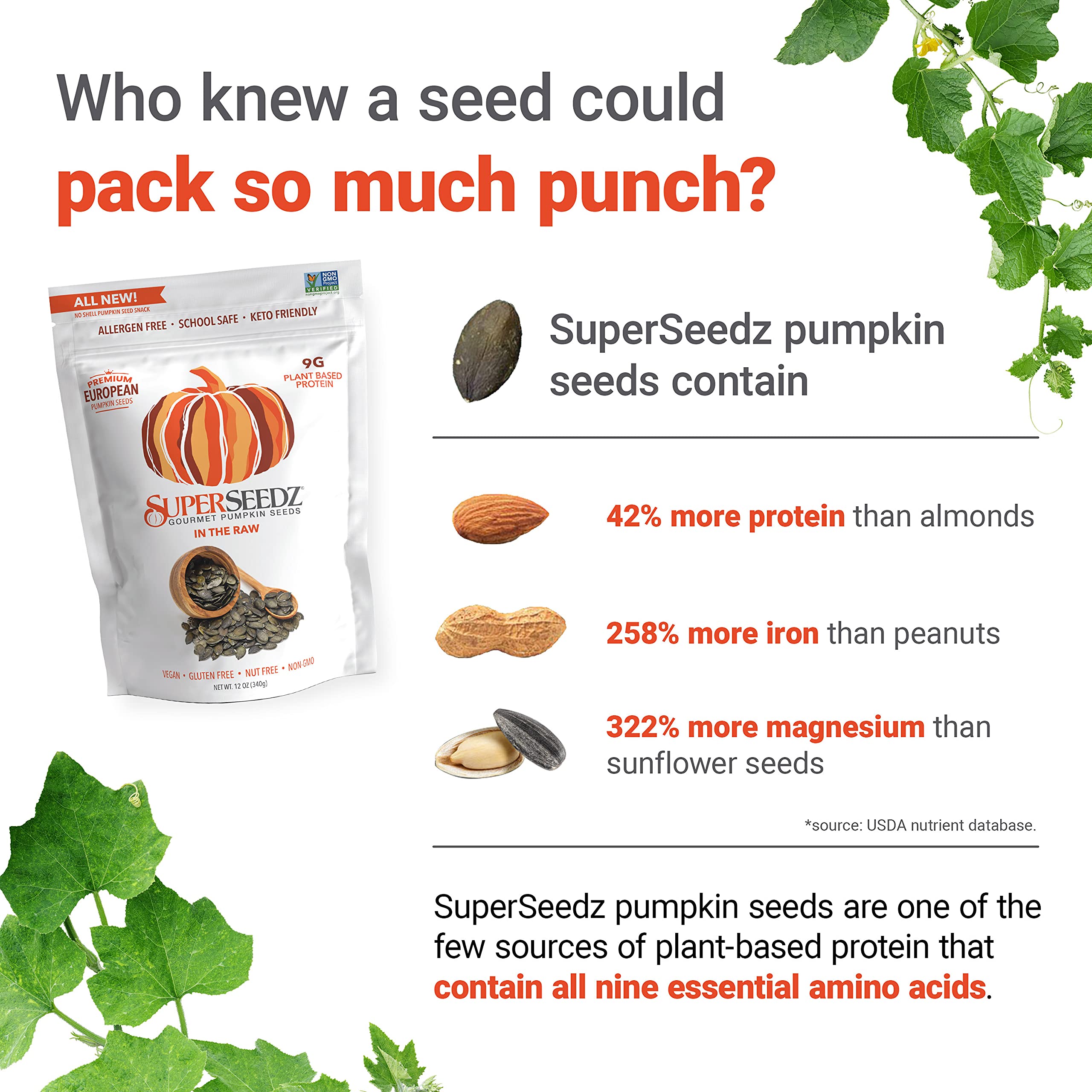 Superseedz Raw Pumpkin Seeds (Pepitas) No Shell | Whole 30, Paleo, Vegan & Keto Friendly | 9g Plant Based Protein | Produced In USA | Nut Free | Fresh Gluten Free Snack | (12 oz Bag)