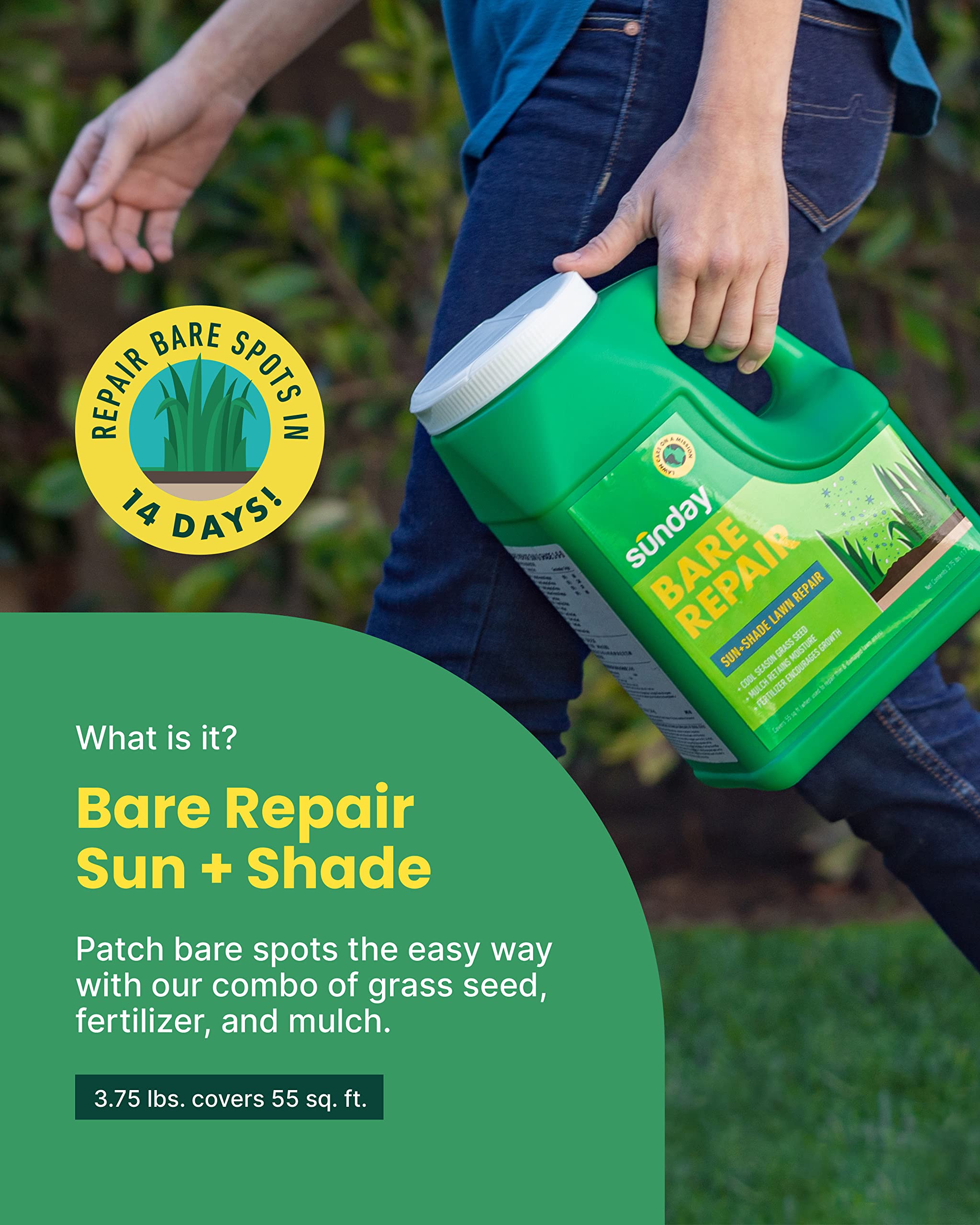 Sunday Bare Repair Sun and Shade Grass Seed Spot Treatment - Grass Seed for Shade and Hard to Grow Areas - Lawn Patch Repair That Works in 14 Days or Less - 3.75lb Jug (Covers 55 Sq Ft)