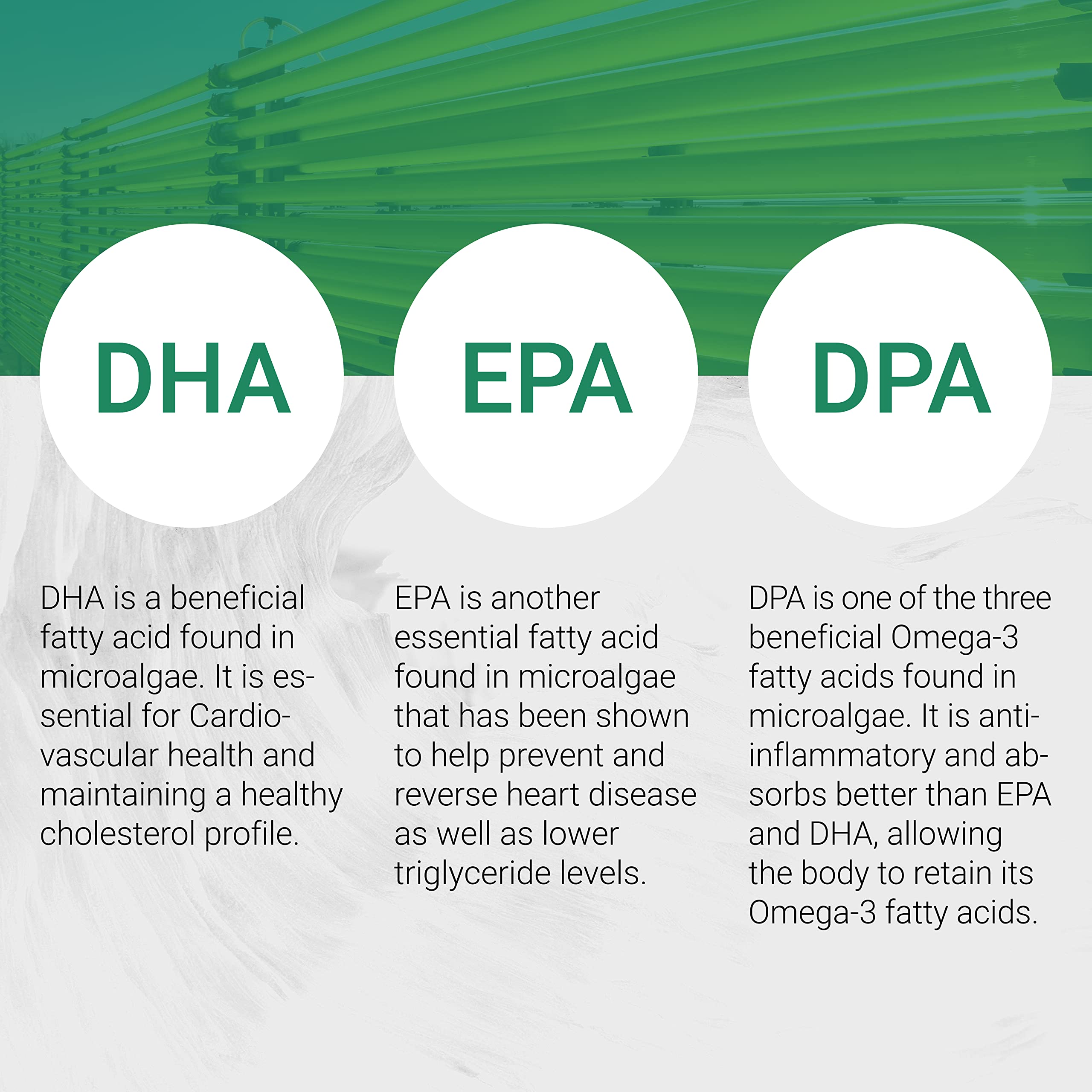 Naturalis Vegan Omega 3 DHA, EPA & DPA from Algae | Vegan Society Certified, Sustainably Sourced, True Full Spectrum | 120 Veggie Softgels (Carrageenan Free)