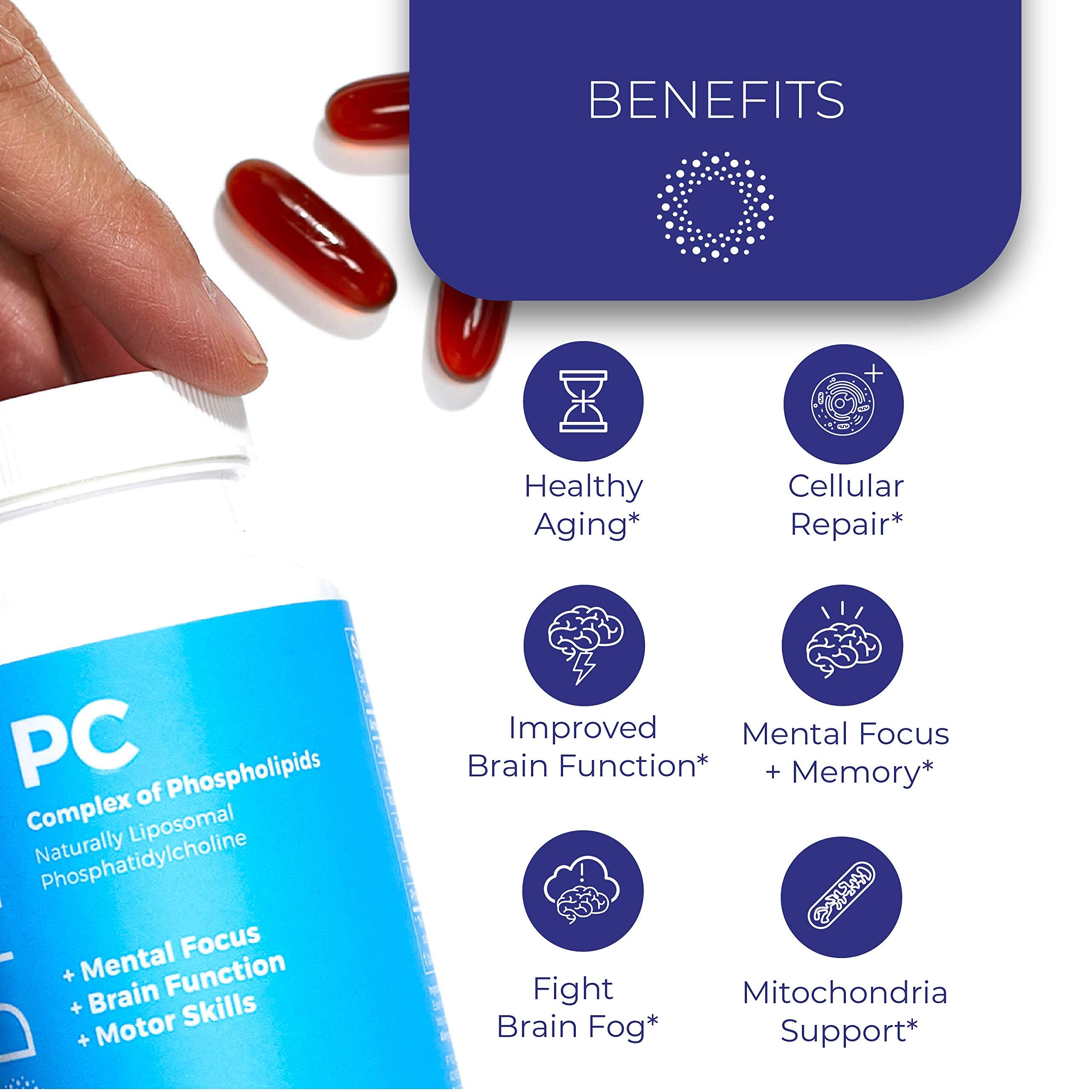 BodyBio Brain Supplement 16 oz - Pure Phospholipid Complex for Healthy Aging | Nootropics Booster | Enhance Focus, Memory, Cellular Repair Phosphatidylcholine for Increased Bioavailability