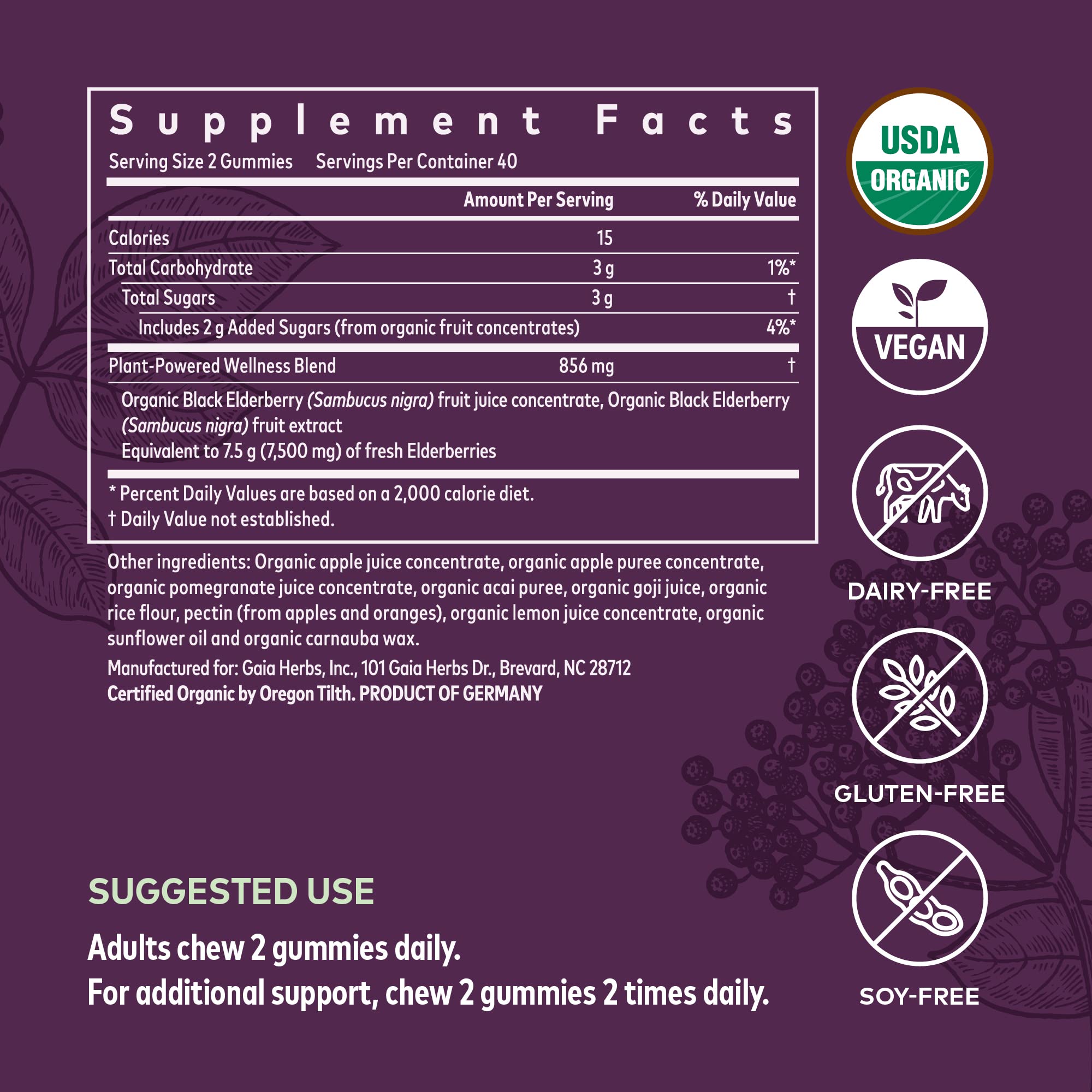 Gaia Herbs Black Elderberry Adult Daily Gummies - Immune Support Gummies with Black Elderberries - Elderberry Supplement to Aid Immune Health - Real Fruit Supplement - 80 Vegan Gummies