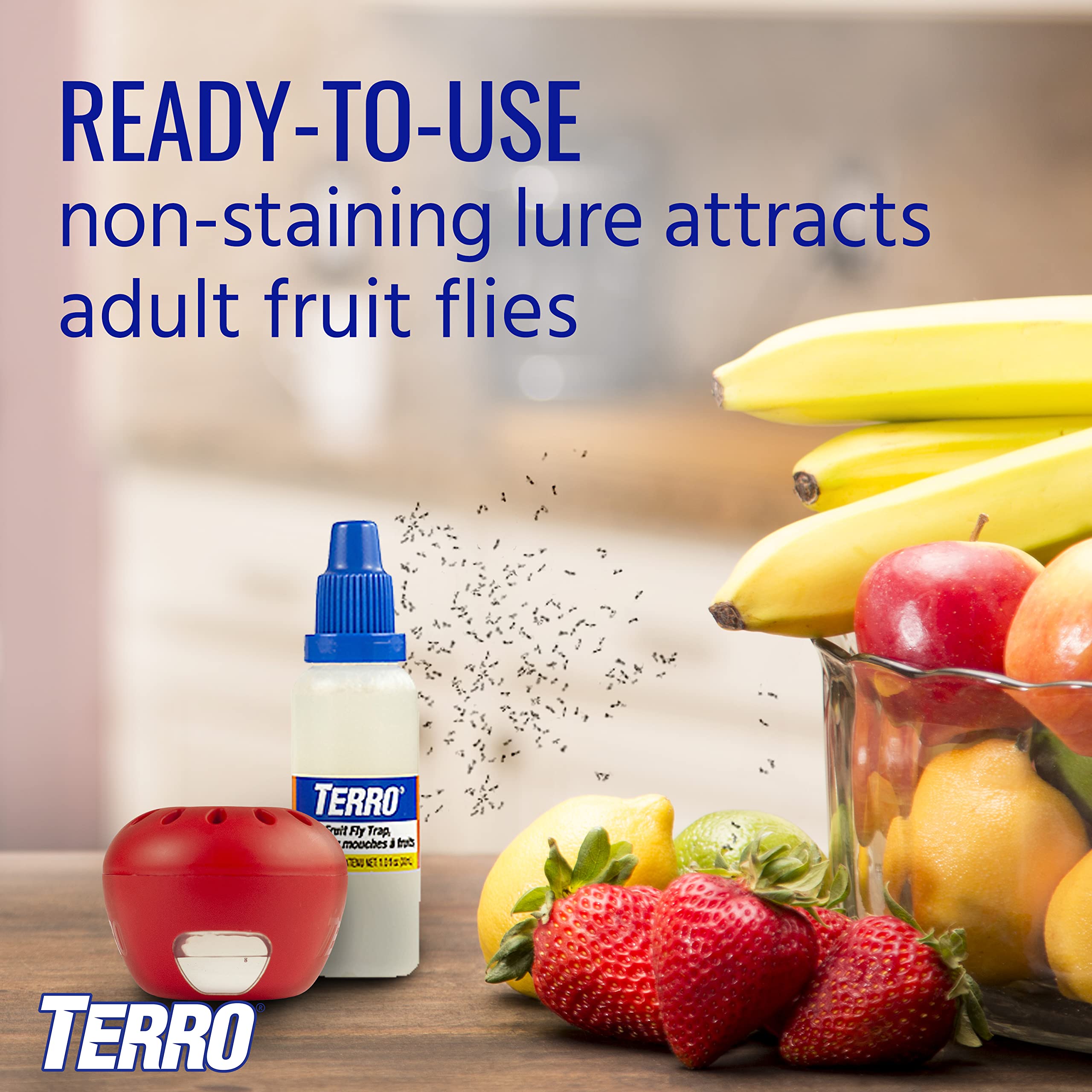 TERRO T2503SR Ready-to-Use Indoor Fruit Fly Killer and Trap with Built in Window - 4 Traps + 180 day Lure Supply