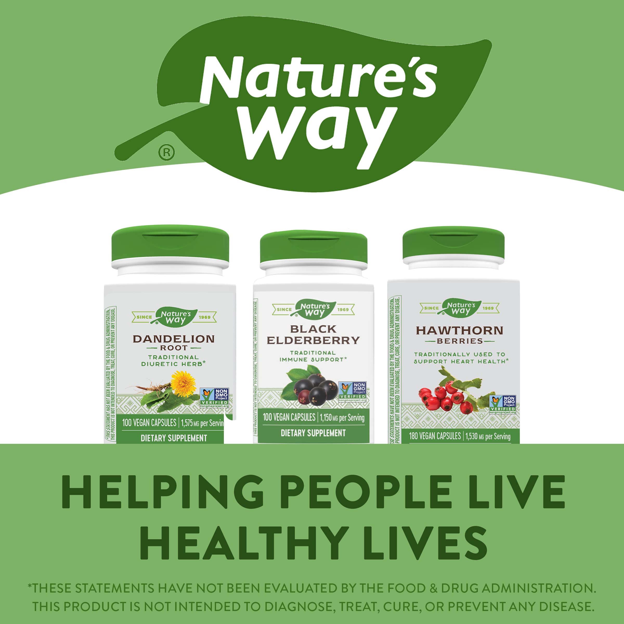 Nature's Way Black Elderberry, 1,150 mg per serving for Immune Support 100 Vegan Capsules