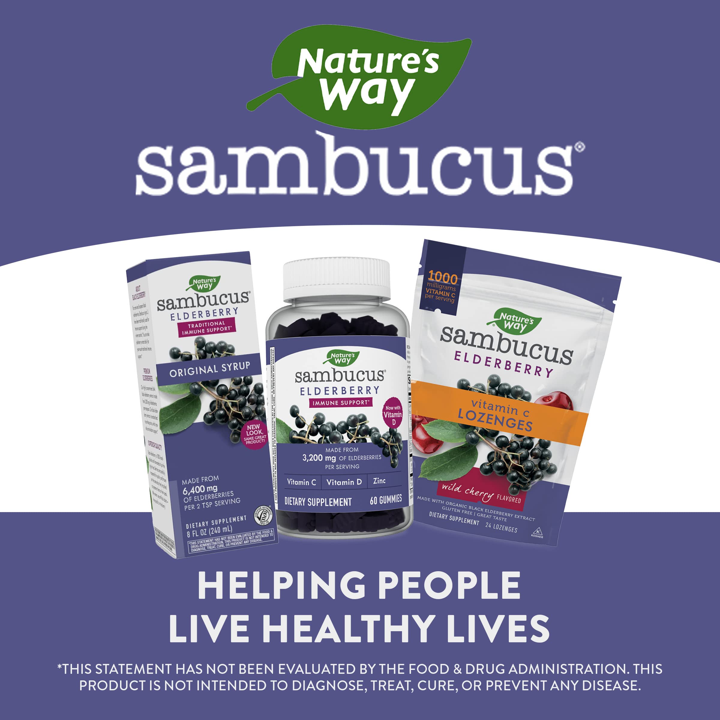 Nature’s Way Sambucus Original Elderberry Syrup, Black Elderberry Extract, Traditional Immune Support*, Delicious Berry Flavor, 8 Fl Oz.