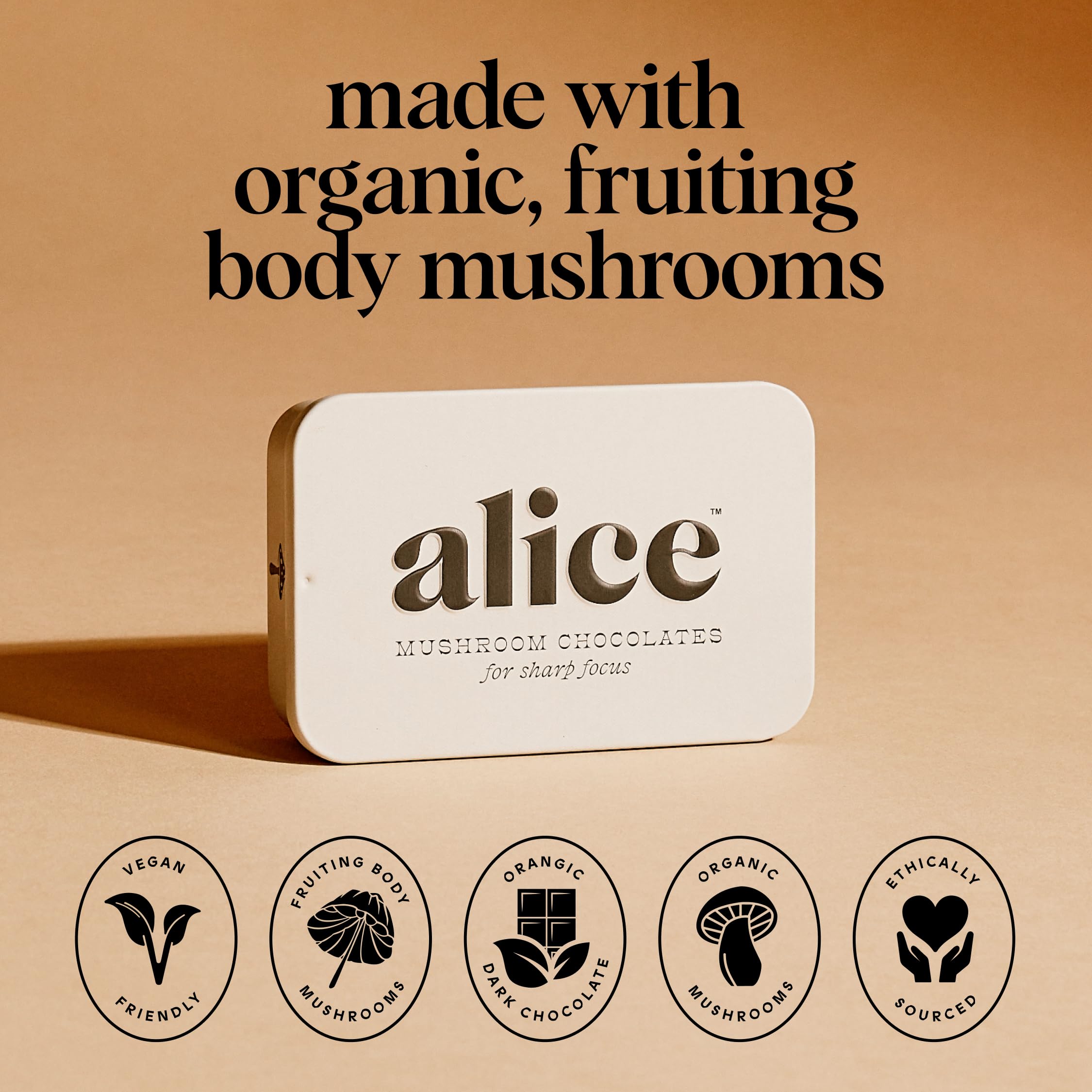 Alice Mushrooms Brainstorm | Mushroom Chocolates | Energy Bites for Focus, Clarity & Cognitive Function | Lions Mane, Cordyceps Mushrooms, Guarana & Phosphatidylserine, Natural Caffeine | Nootroopic