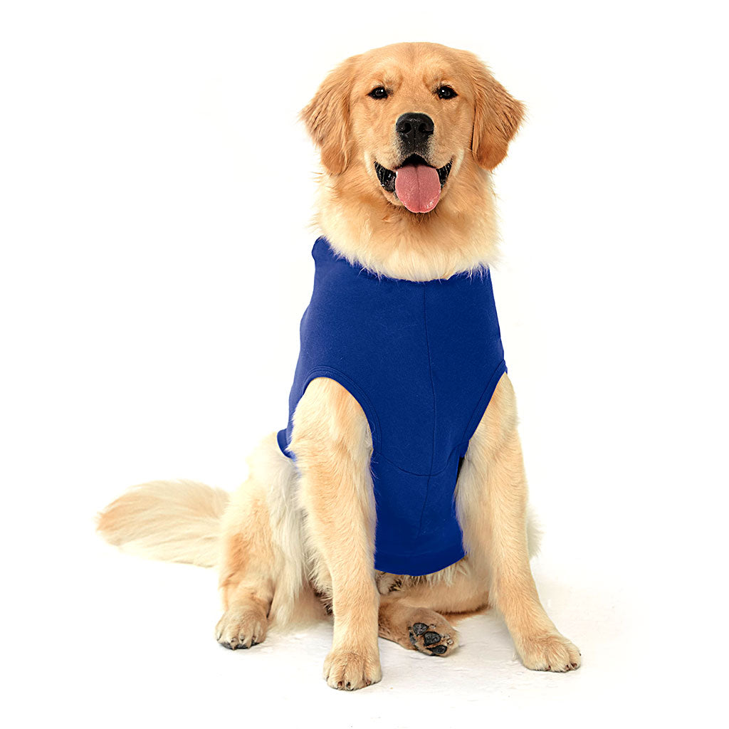 Assistant Branch Manager Dog Shirt with Hoodie - Minimalist Dog Hoodie - Print Dog Clothing