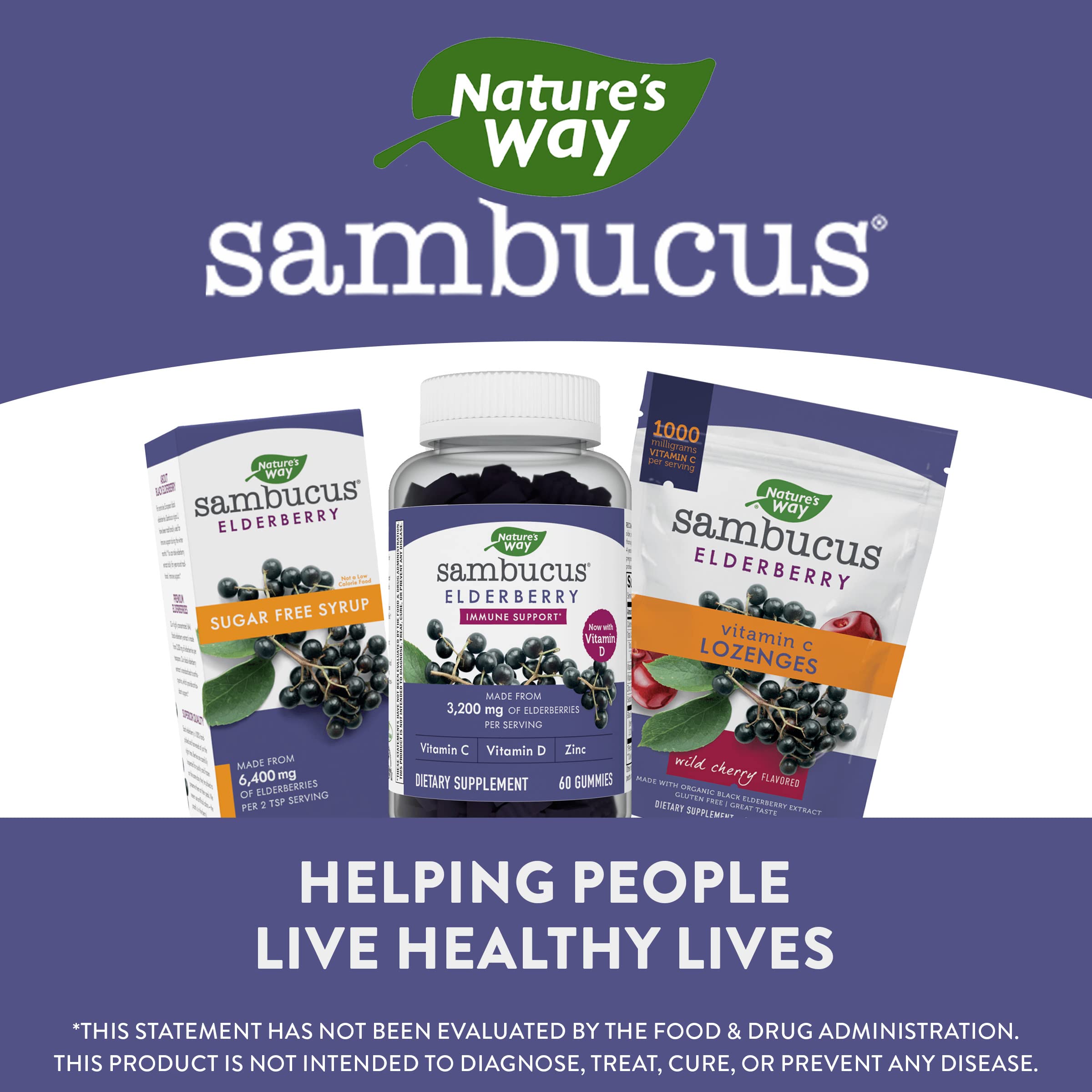 Nature’s Way Sambucus, Immune Support Gummies*, Black Elderberry with Vitamin C, D and Zinc, 60 Gummies