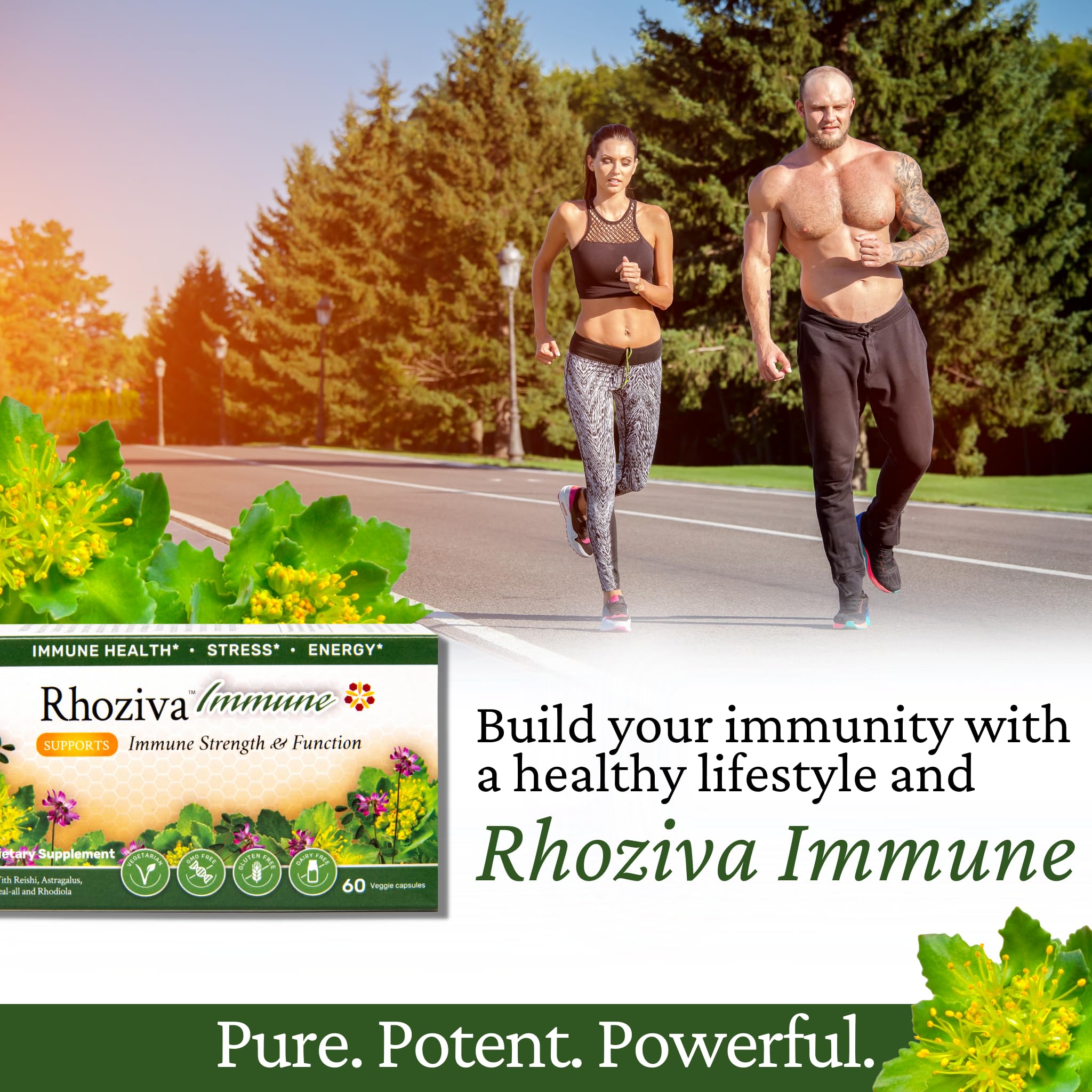 Rhoziva Immune. Immune System Booster Supplement, Stress & Energy Support. Rhodiola Rosea, Reishi Mushroom Extract, Astragalus, Prunella. Vitamins & Minerals. 60 Capsules. (Pack of 1)