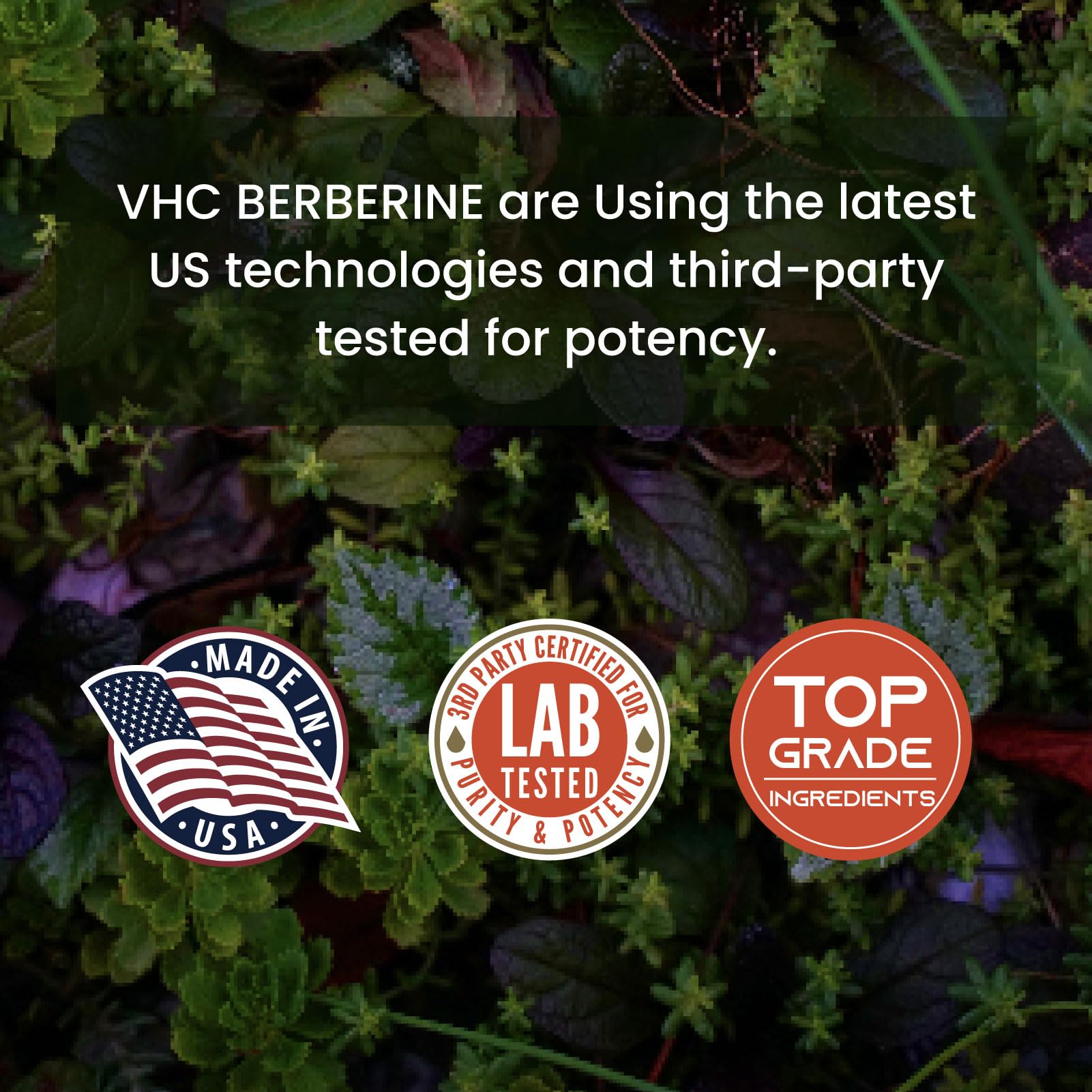 VHC Berberine Supplement 2000mg Daily, 10X Time Optimum Absorption Berberine HCL, Max Boost Bioavailable Levels, for Immune Cardiovascular Gastrointestinal, Non GMO Gluten Free Veggie Capsules