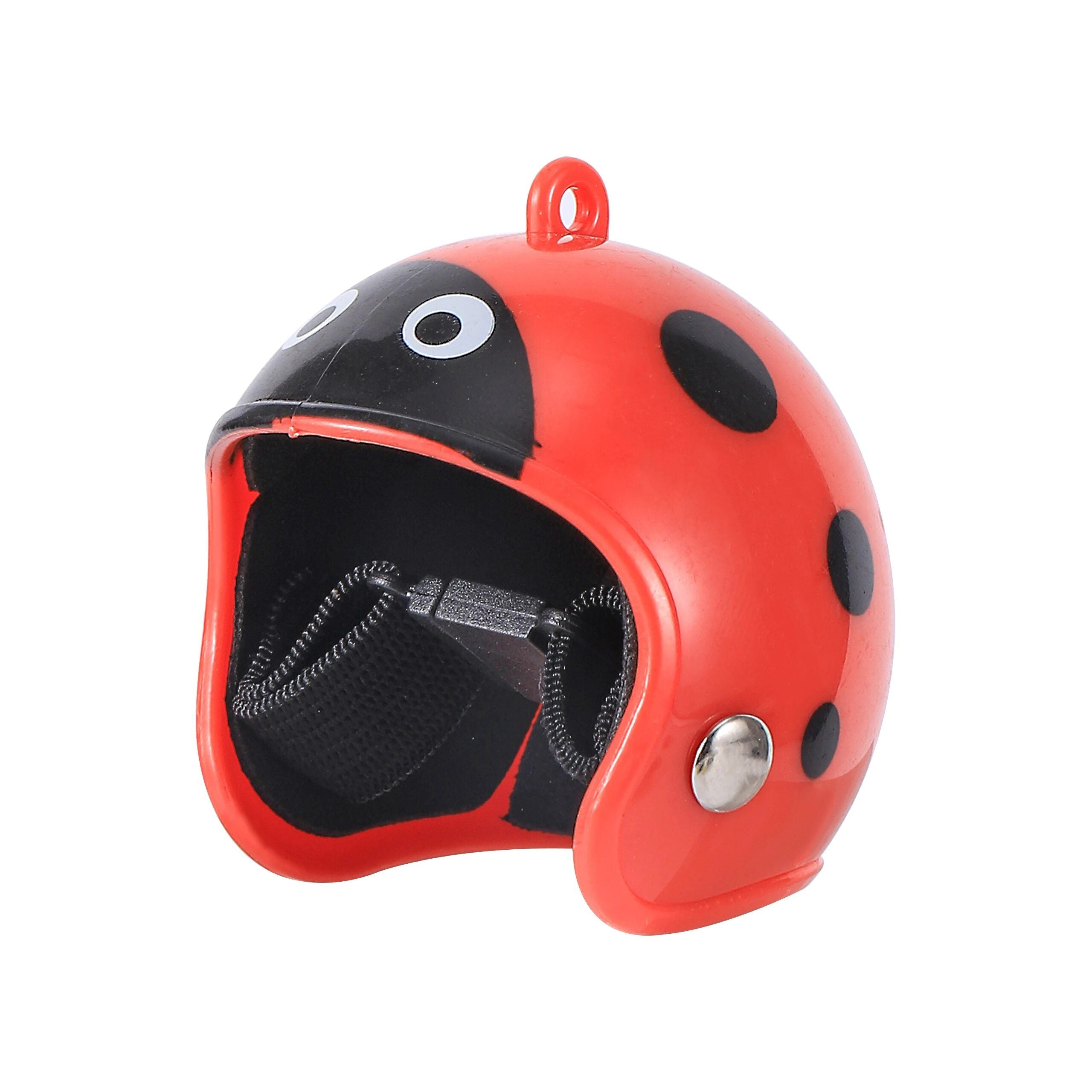 Colorful Bird Safety Helmet