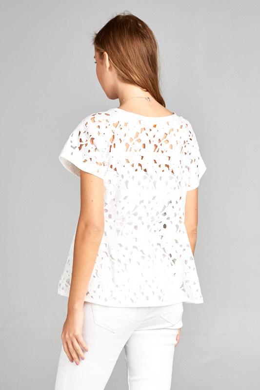 Crochet Lace Short Sleeve Top