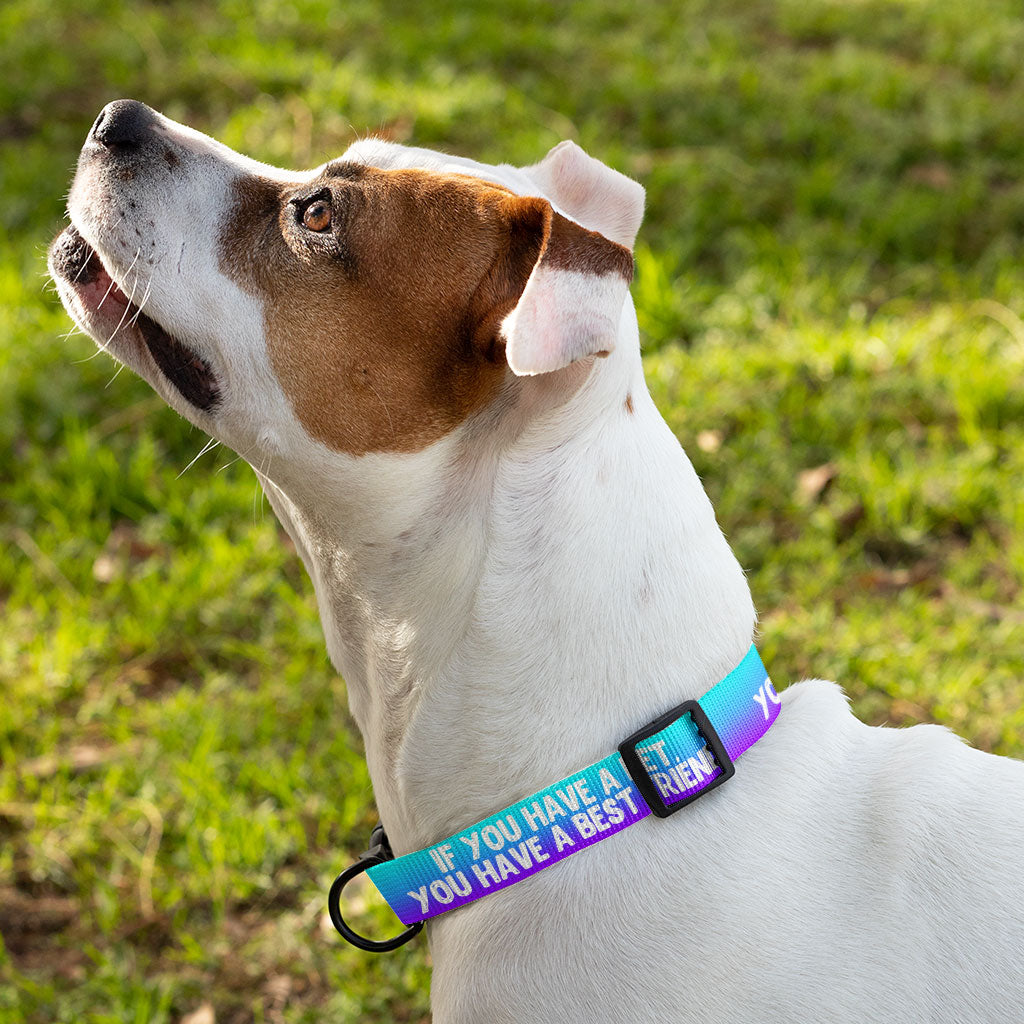 Cute Design Pet Collar - Quote Dog Collar - Best Print Dog Collar