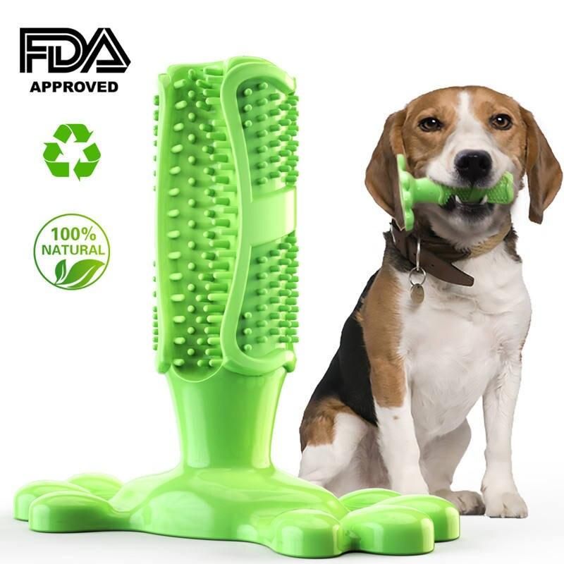 Chewable Toothbrush