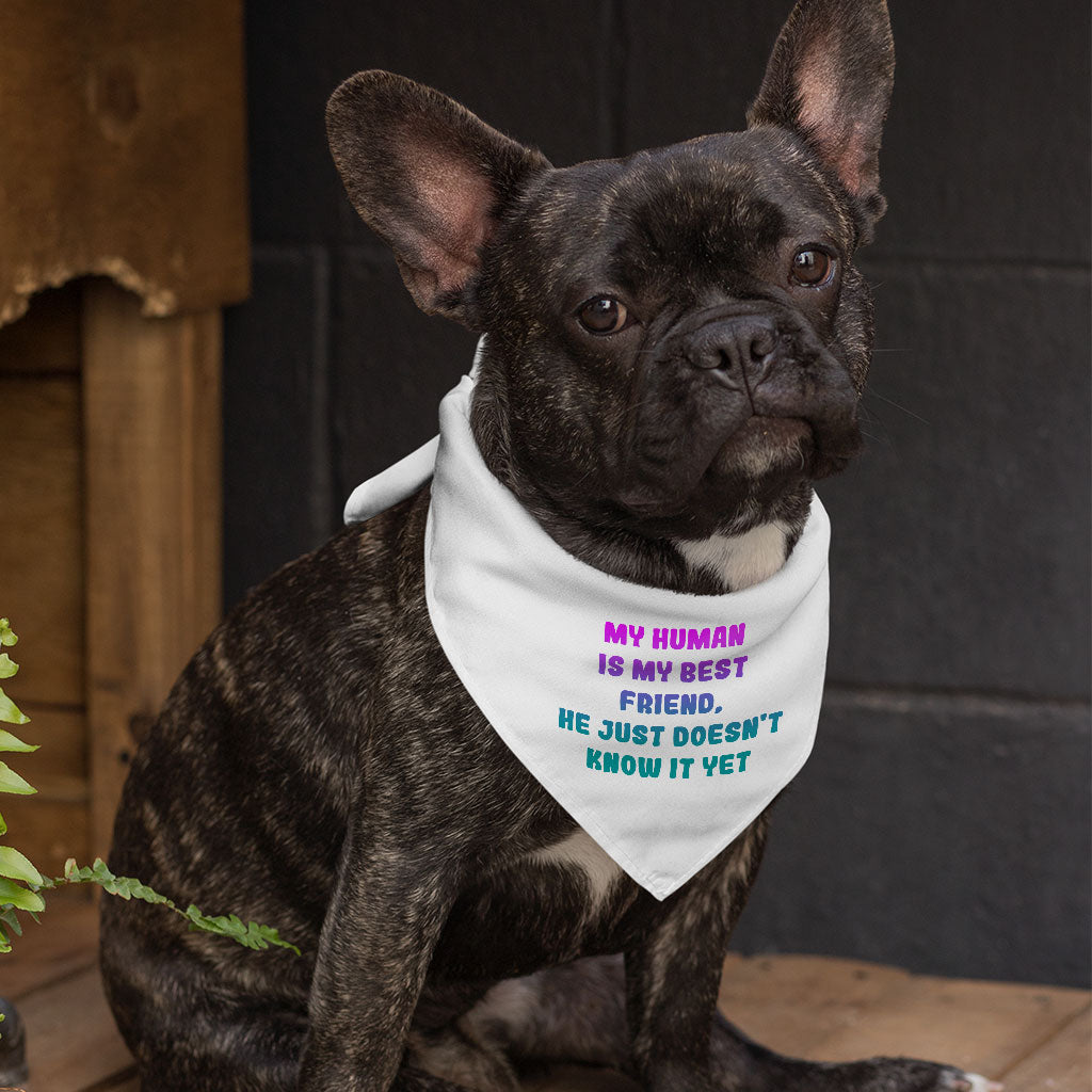 Cute Design Pet Bandana - Creative Dog Bandana - Quote Pet Scarf