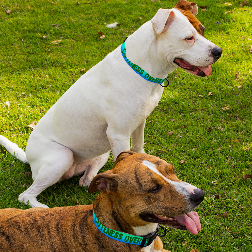 Cute Print Pet Collar - Kawaii Dog Collar - Cool Dog Collar