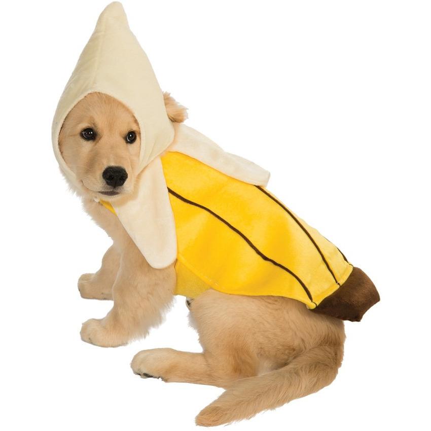 Banana Pet Costume | Turquoise Daedalus