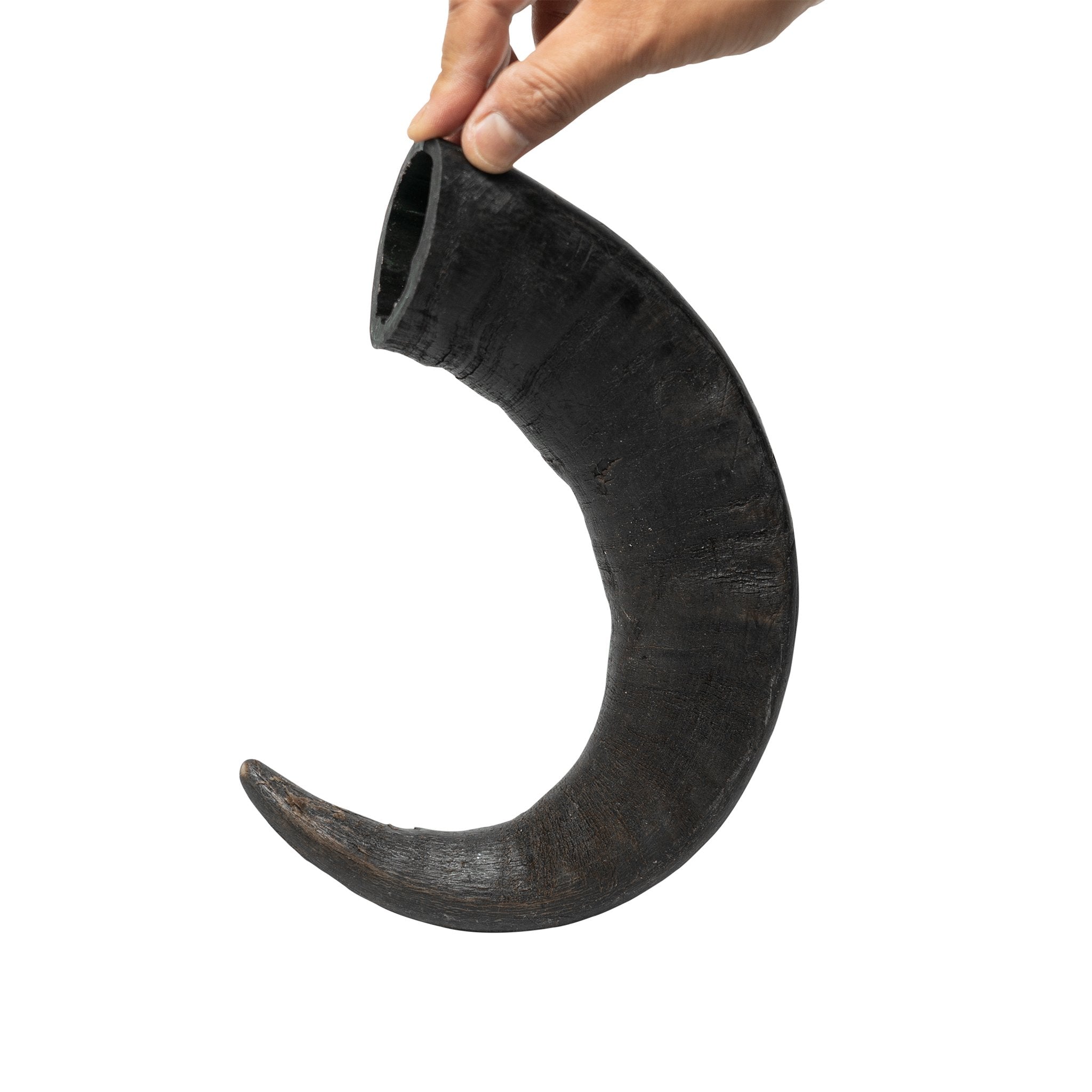 WATER BUFFALO HORN-100% Natural, Long-Lasting, Grain-Free,