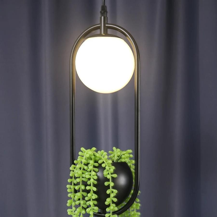 Elegant DIY Ring Plant Pendant Light