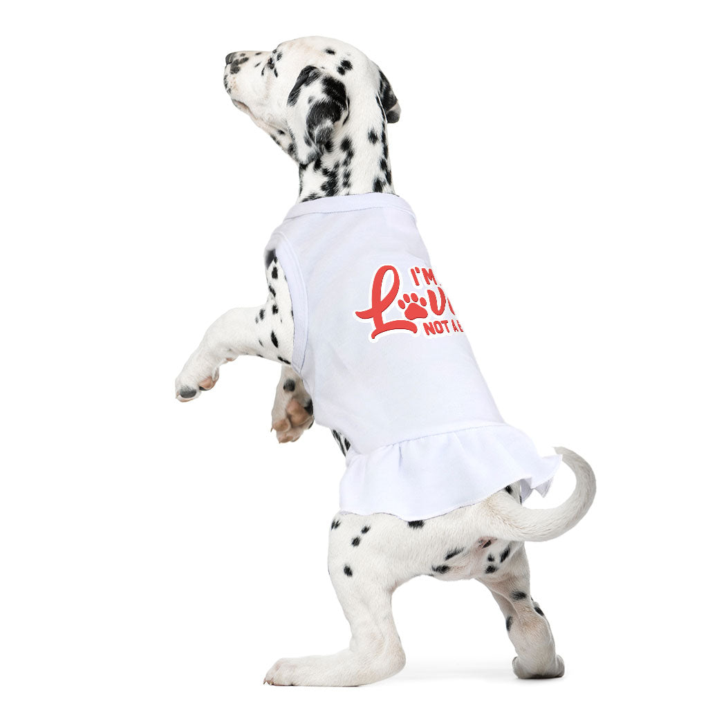 I'm a Lover Not a Biter Dog Sundress - Funny Dog Dress Shirt - Phrase Dog Clothing