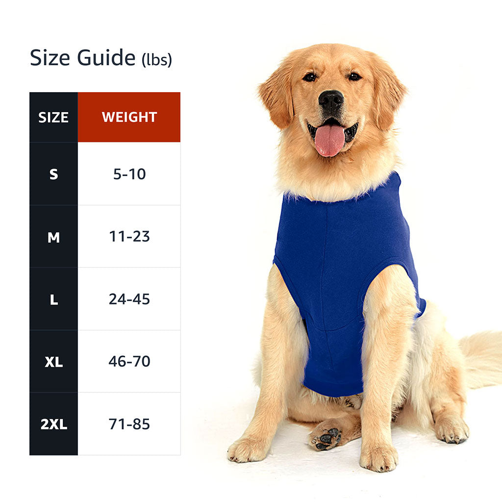 Assistant Branch Manager Dog Shirt with Hoodie - Minimalist Dog Hoodie - Print Dog Clothing