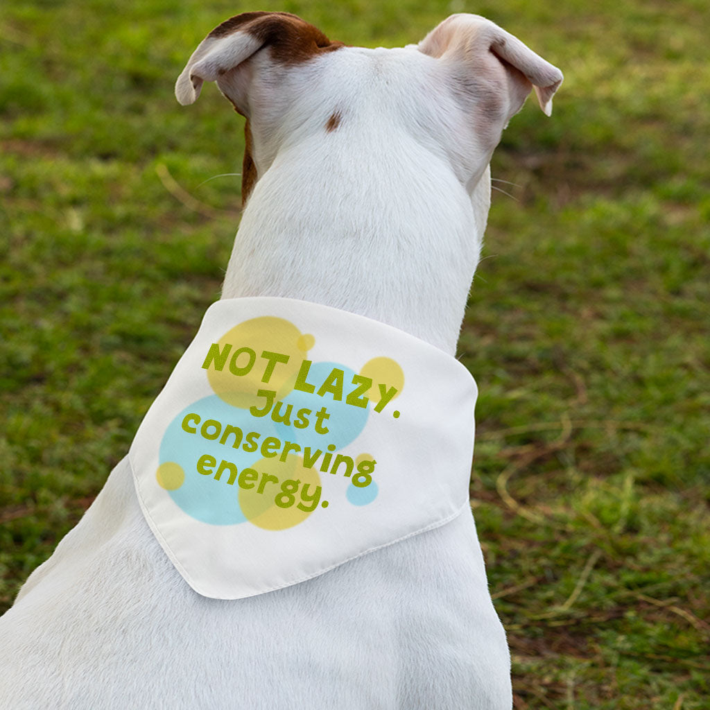 I Am Not Lazy Pet Bandana Collar - Quote Scarf Collar - Themed Dog Bandana