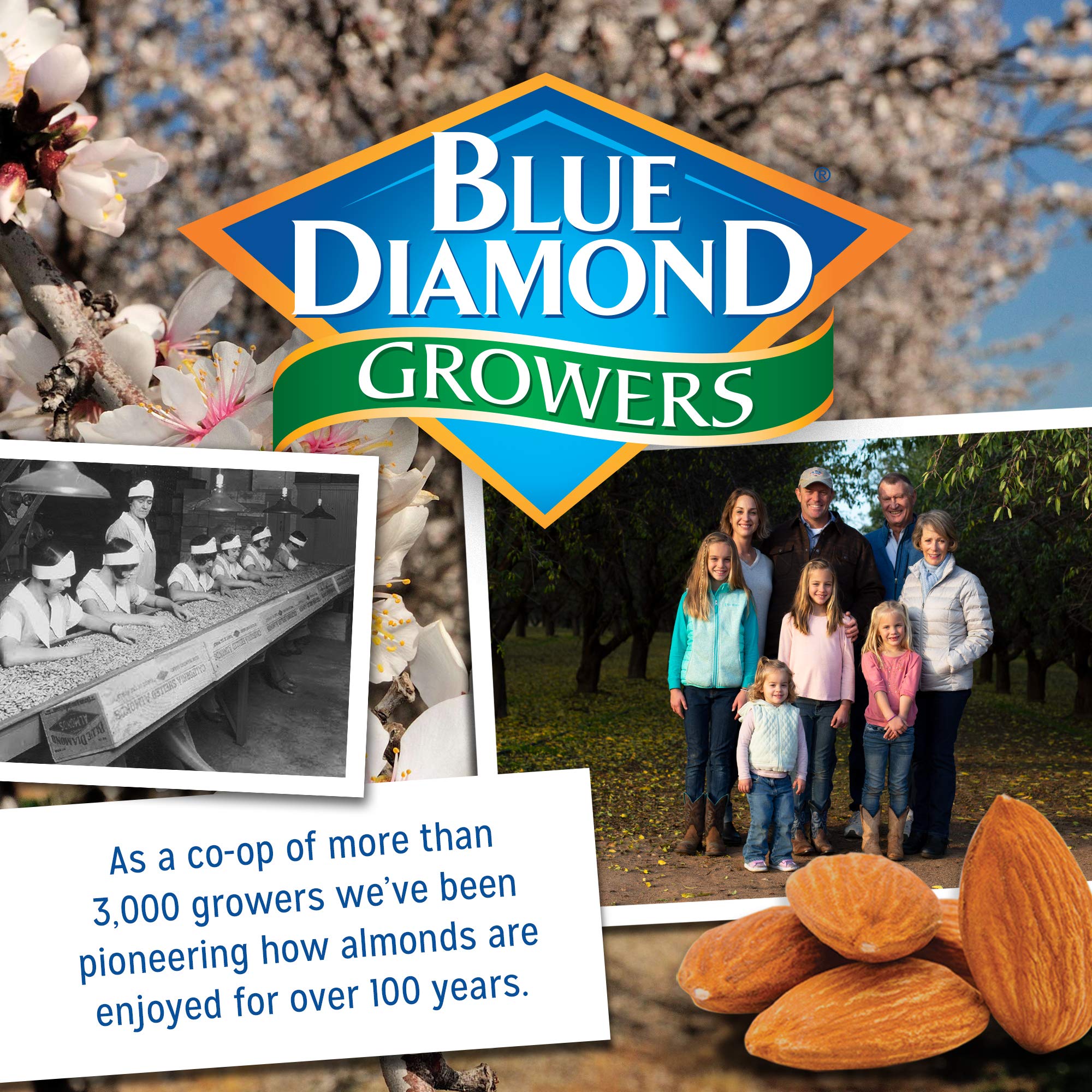 Blue Diamond Almonds Low Sodium Lightly Salted Snack Nuts, 16 Oz Resealable Bag (Pack of 1)