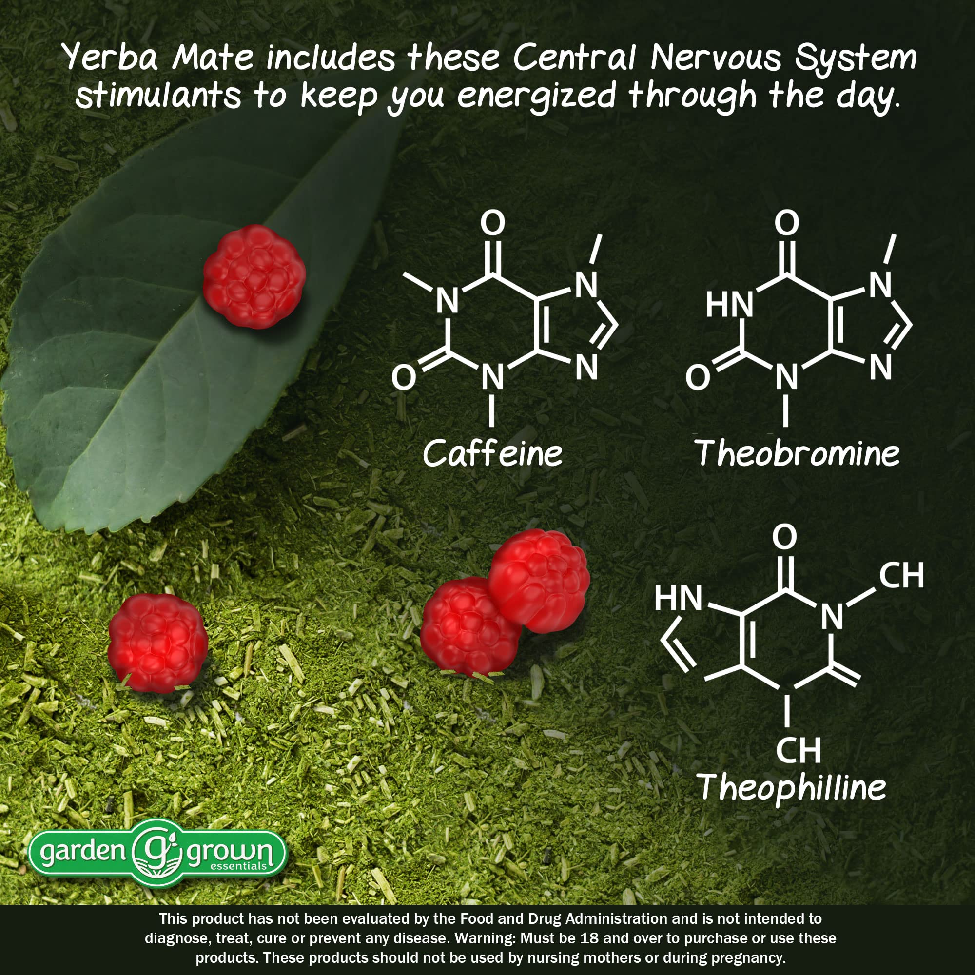 Yerba Mate Gummies - 1000 MG Per Serving 60,000 MG High Potency - Tastier, More Effective Way To Achieve Benefits of Yerba Mate - All Natural Energy and Clarity Boosting Gummy Supplement - Made in the USA (60 Count - Carribean Punch Flavor)