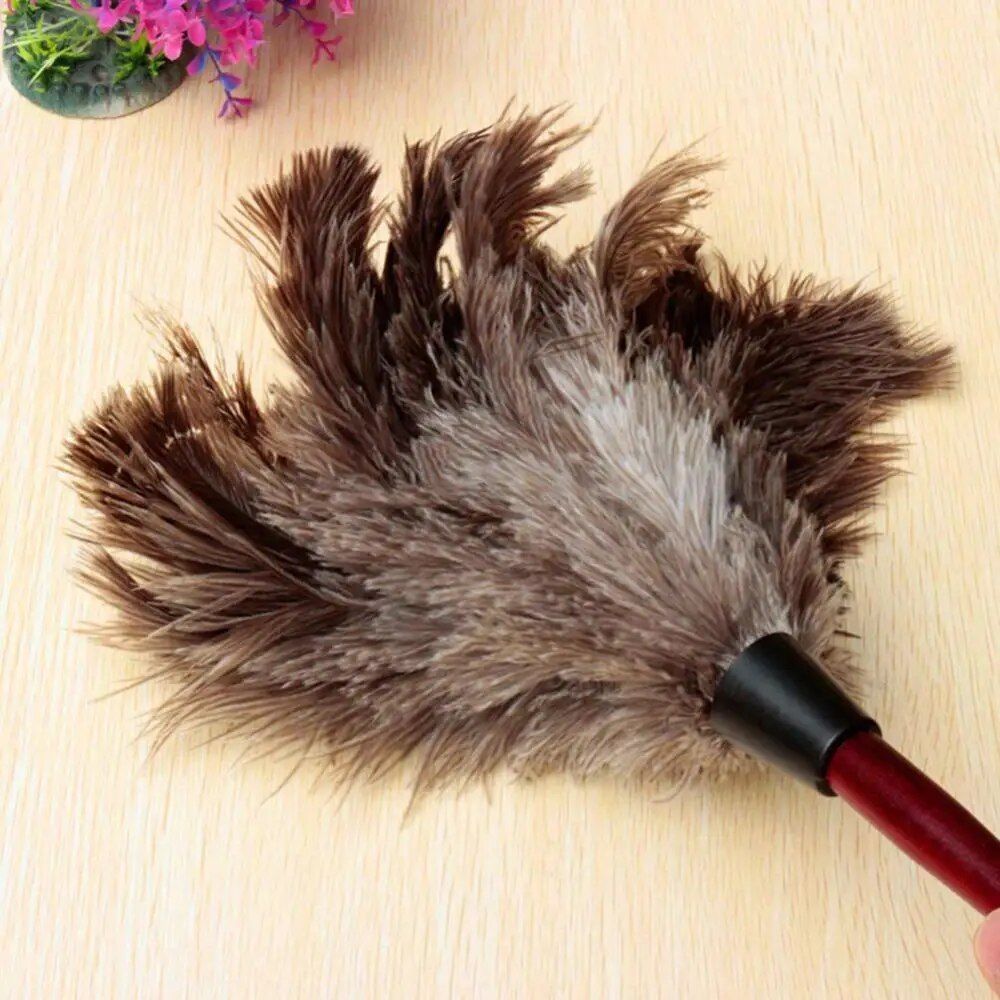 Eco-Friendly Ostrich Feather Duster with Long Wooden Handle