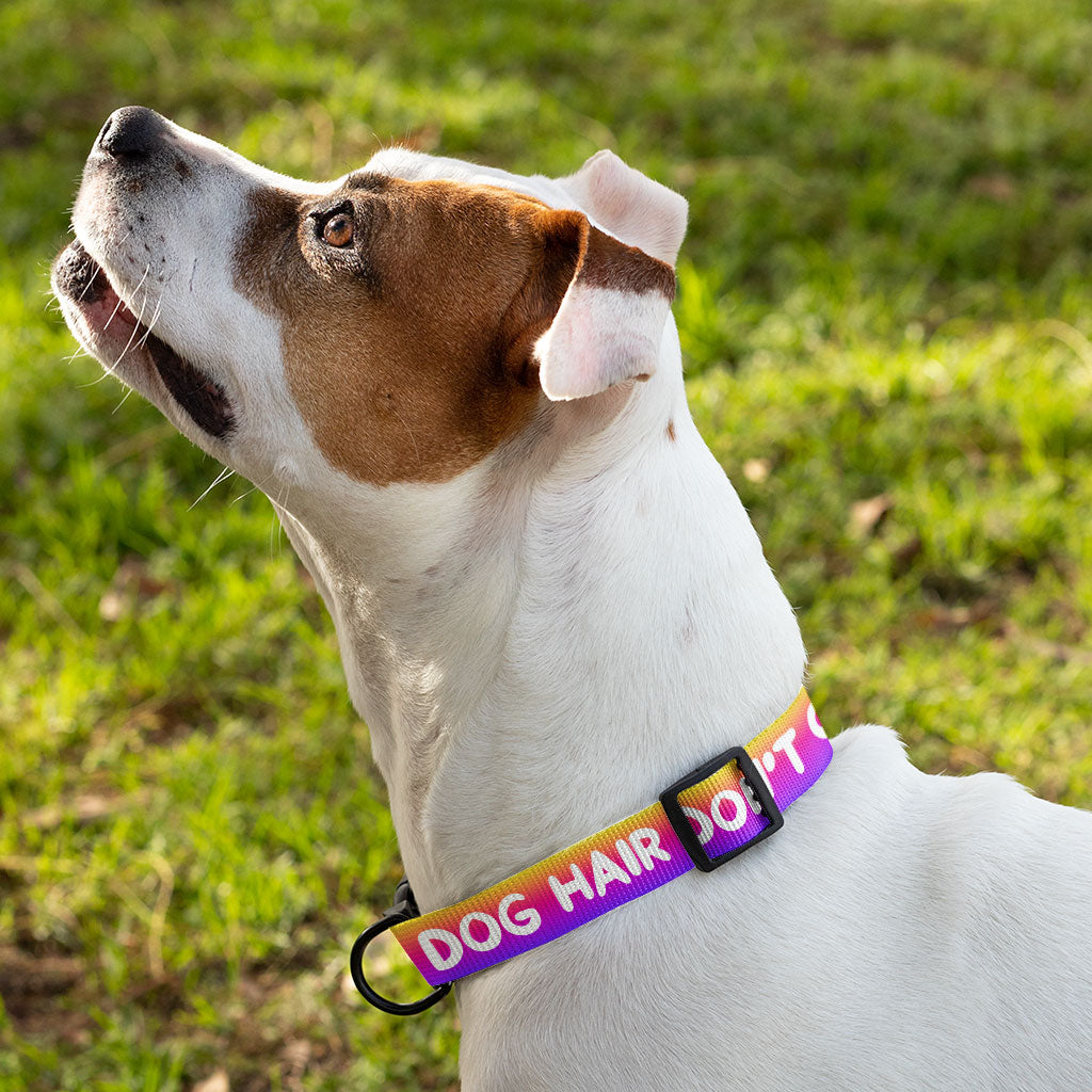 Dog Hair Don't Care Pet Collar - Funny Design Dog Collar - Cool Design Dog Collar