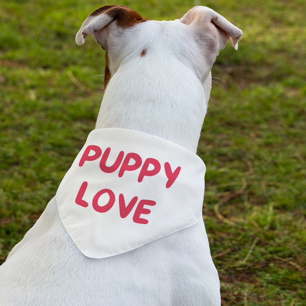 Puppy Love Pet Bandana Collar - Kawaii Scarf Collar - Best Print Dog Bandana