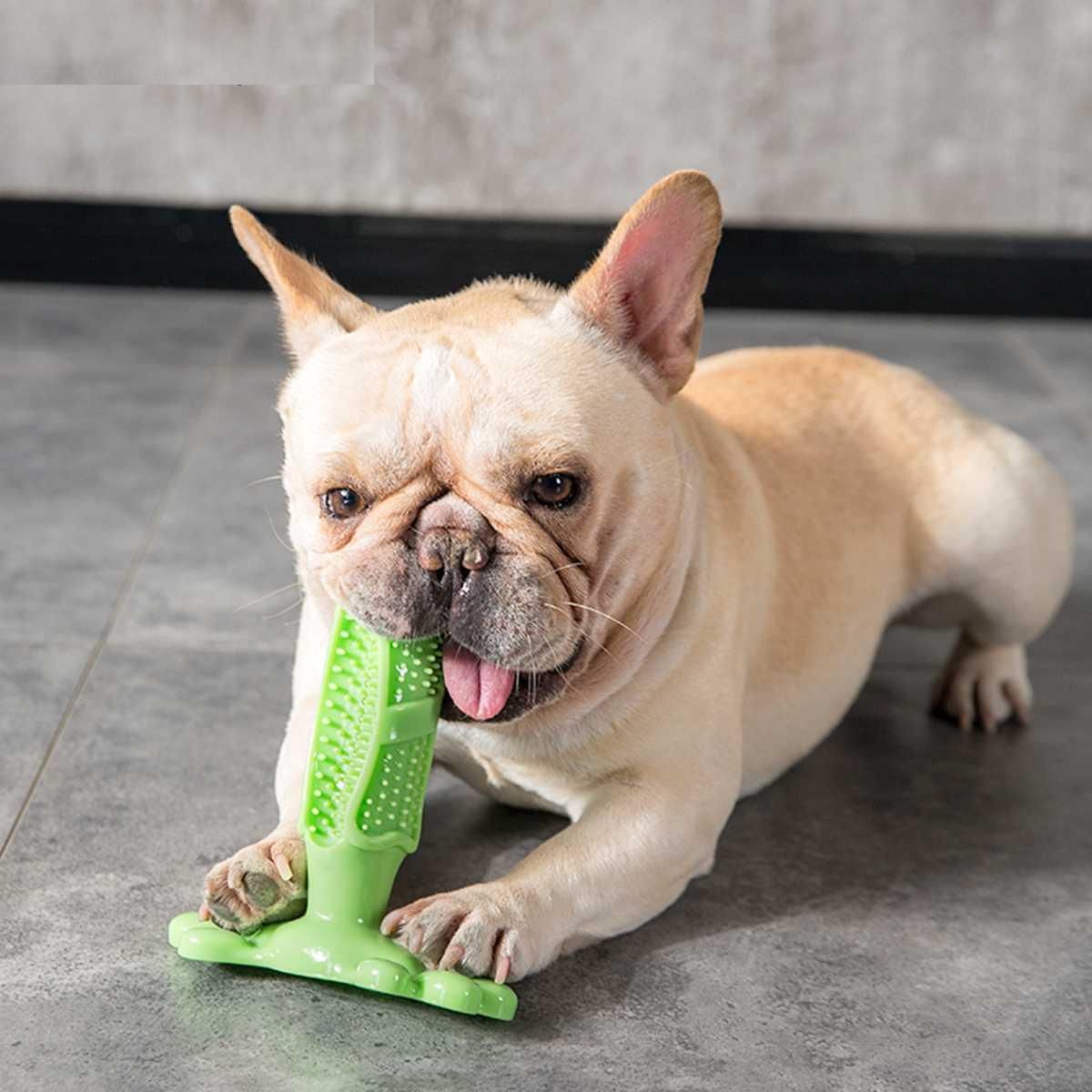 Chewable Toothbrush