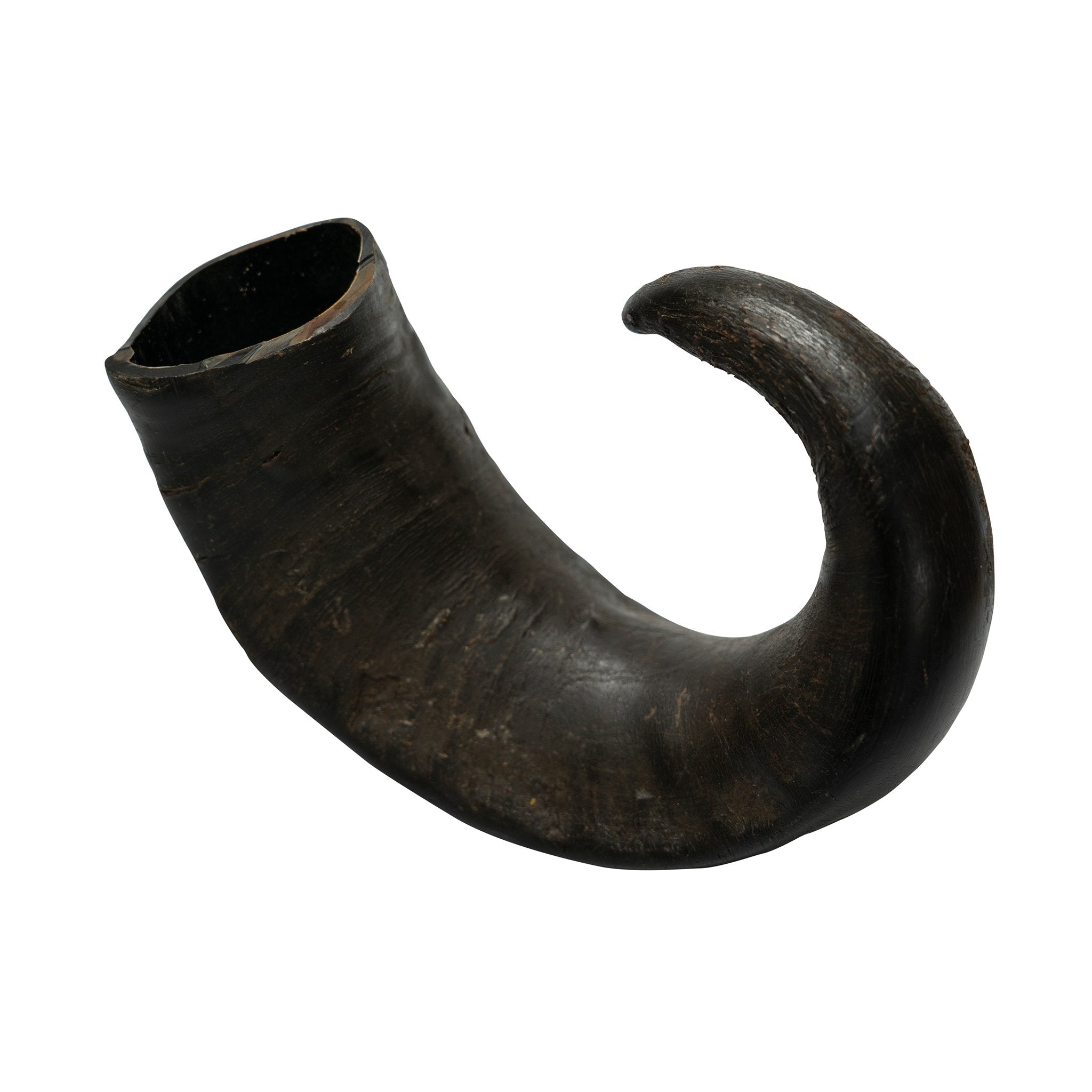 WATER BUFFALO HORN-100% Natural, Long-Lasting, Grain-Free,