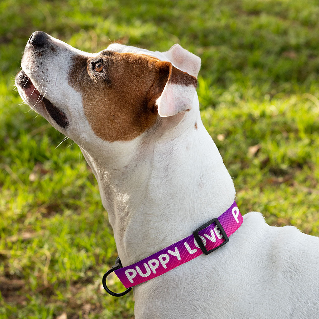 Puppy Love Pet Collar - Kawaii Dog Collar - Best Print Dog Collar