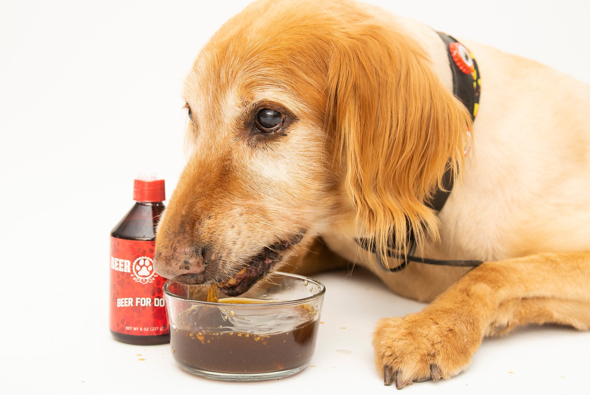 Original Beer Paws Craft Beer for Dogs