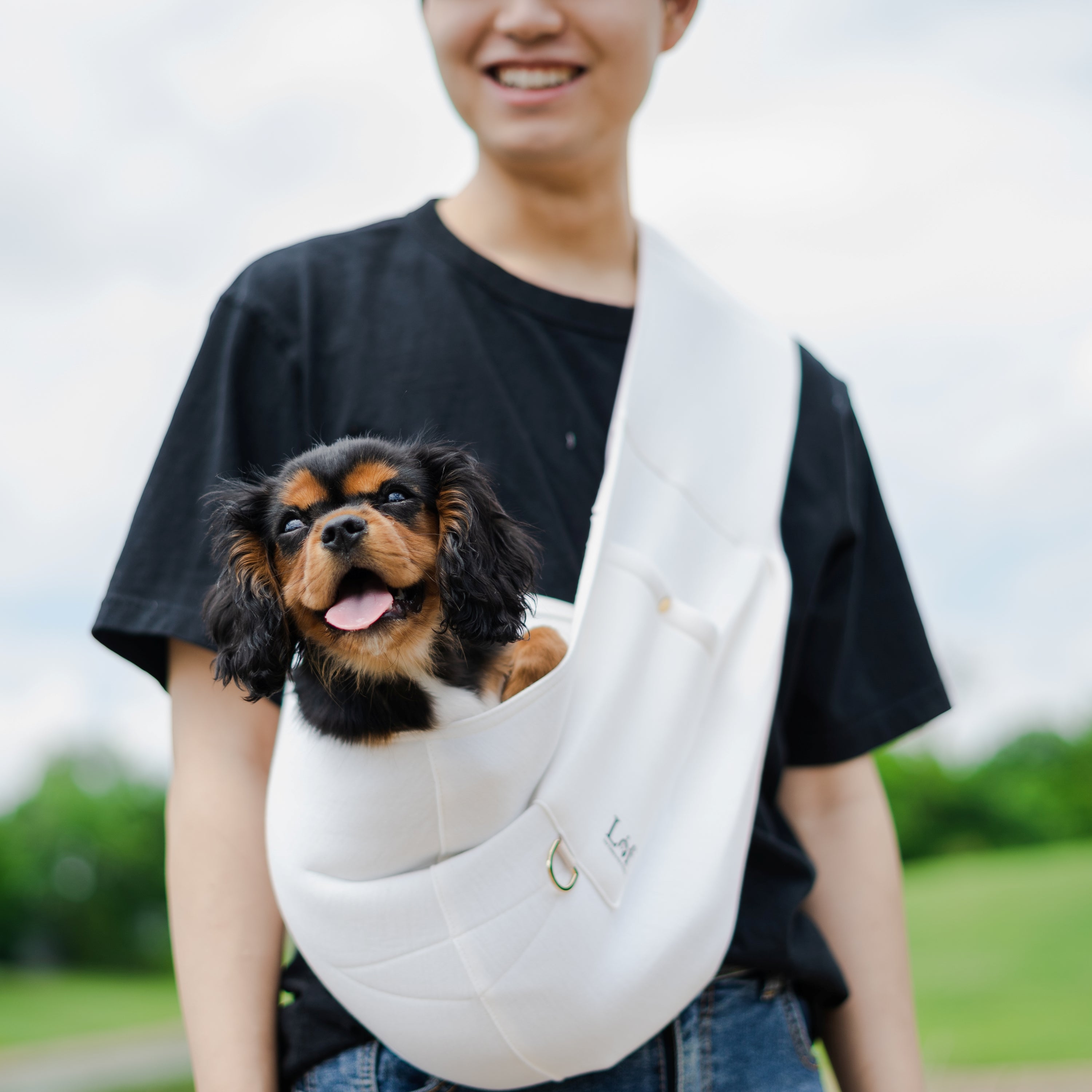 Lof Comfortable Pet Sling Carrier For Small Dogs Travel Safe For Dogs
