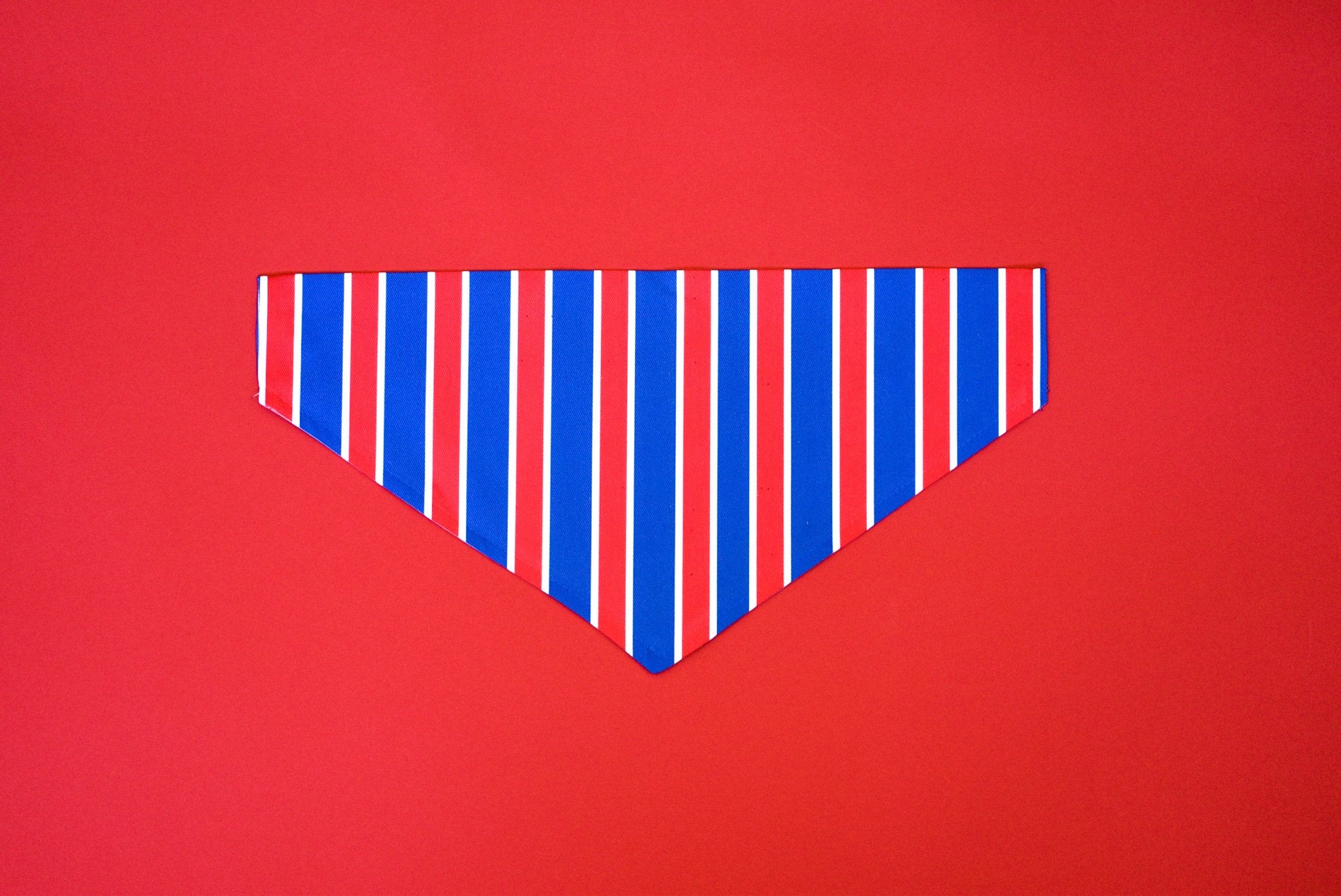 USA Stripes Bandana