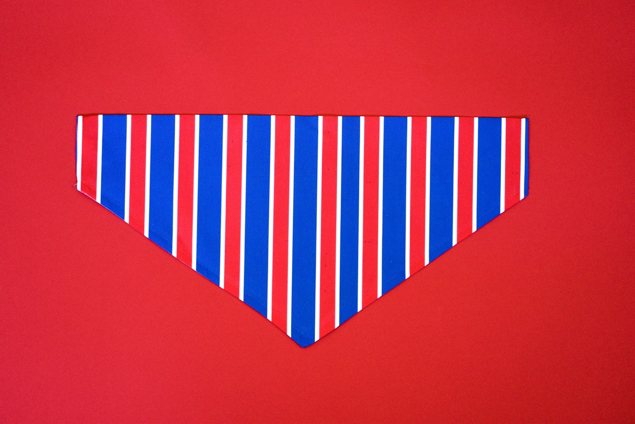 USA Stripes Bandana